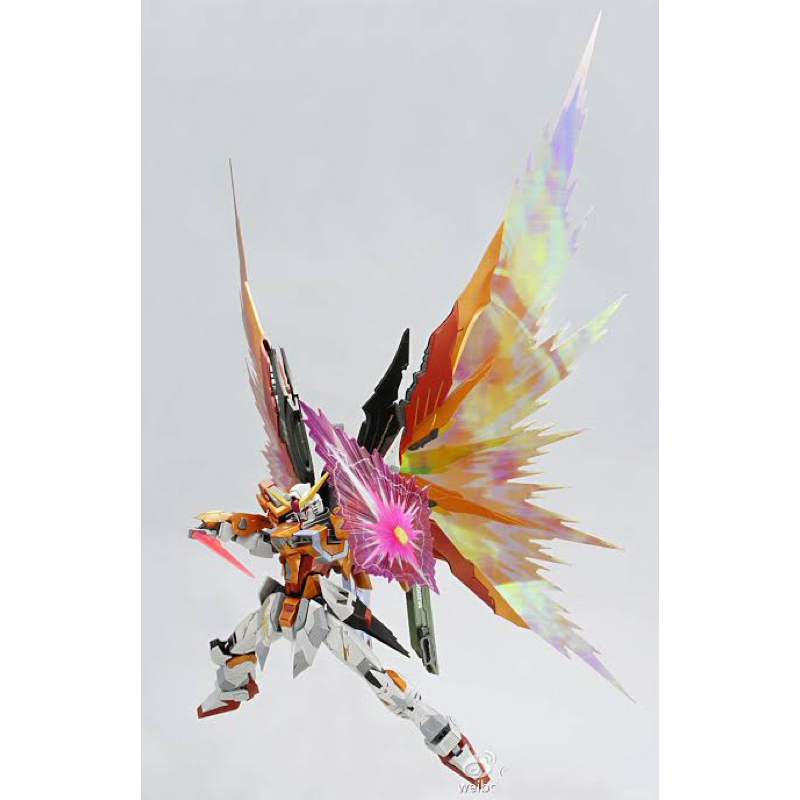 MG 1/100 Gundam Destiny Heine ver MB