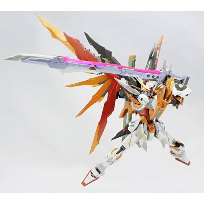 MG 1/100 Gundam Destiny Heine ver MB