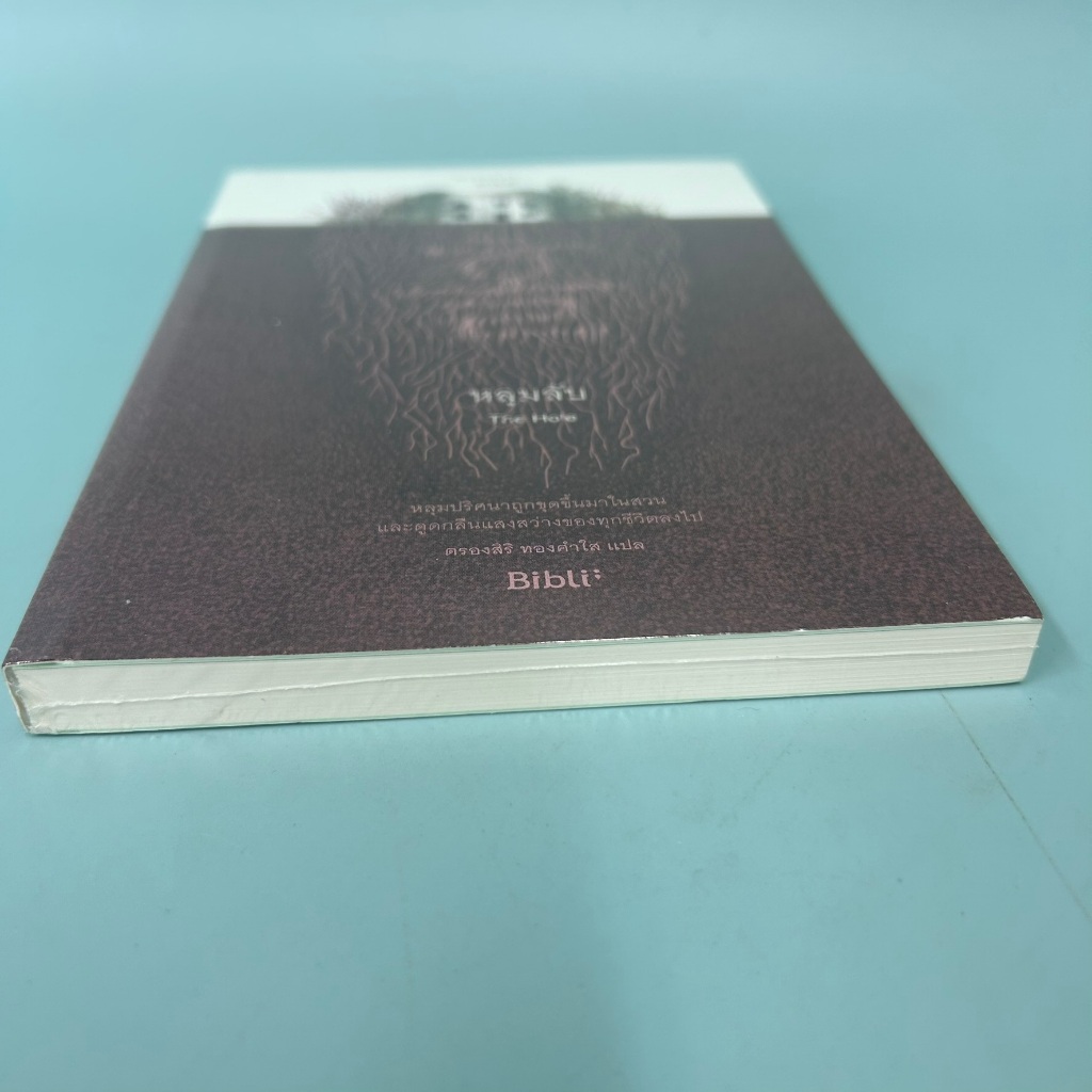 หลุมลับ THE HOLE / มือหนึ่ง / พยอนฮเยยอง / Bibli (บิบลิ) / นิยายสืบสวนสอบสวน