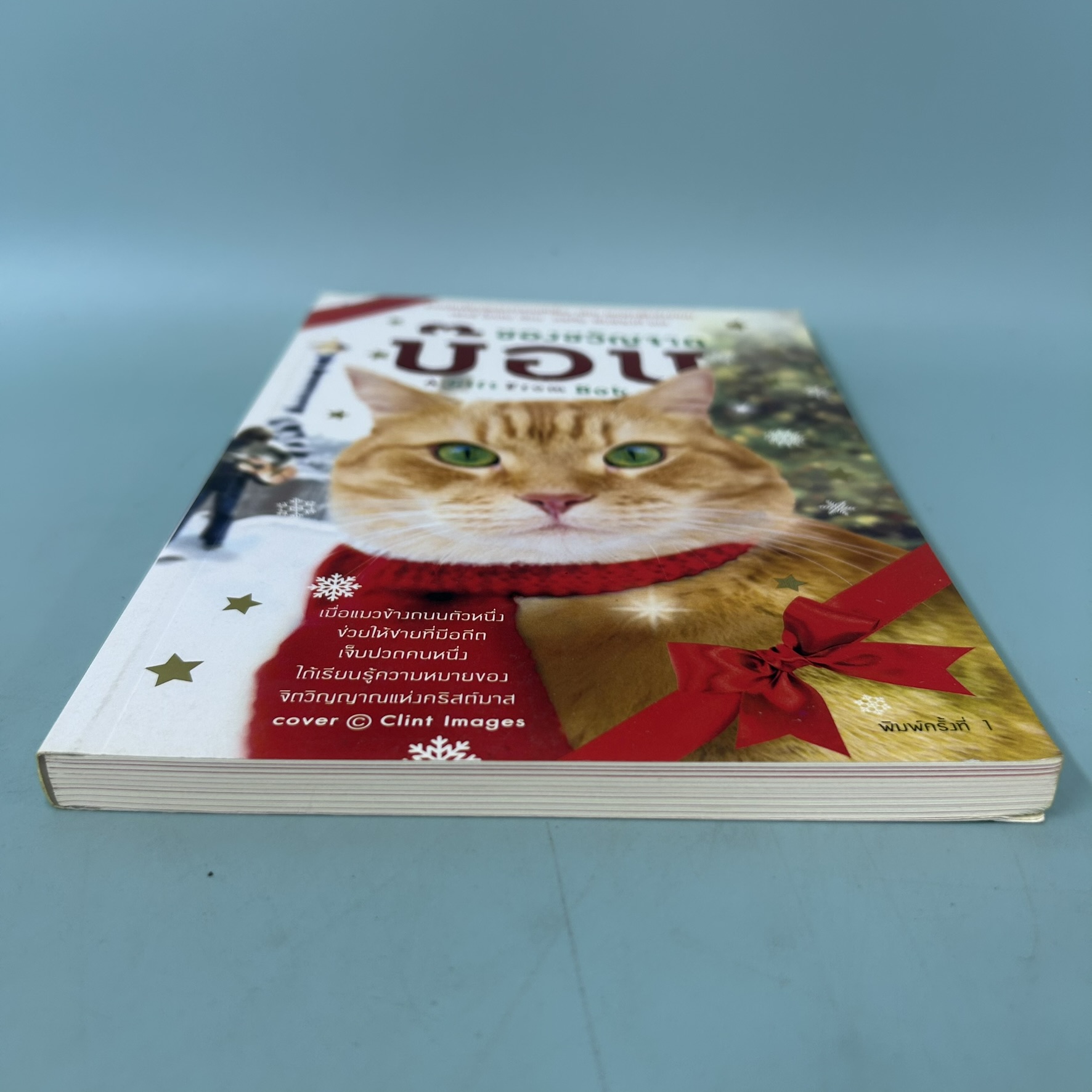 ของขวัญจากบ๊อบ / มือสอง / เจมส์ โนเวน / springbooks / นิยายแปล