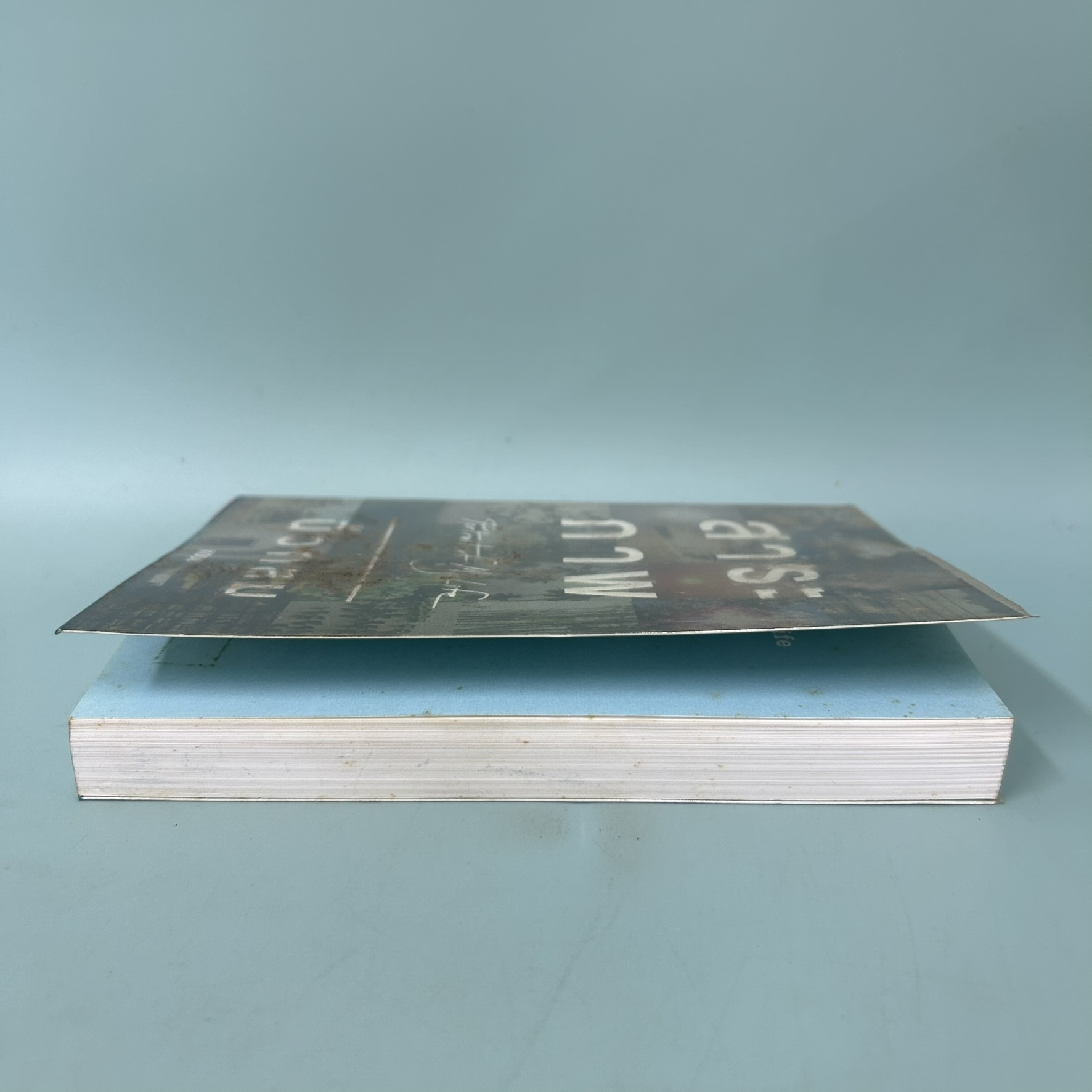 สาระภาพ Portrait of My Life / มือสอง / นิ้วกลม / สำนักพิมพ์ koob / รวมเรื่องสั้นเกี่ยวกับภาพถ่าย