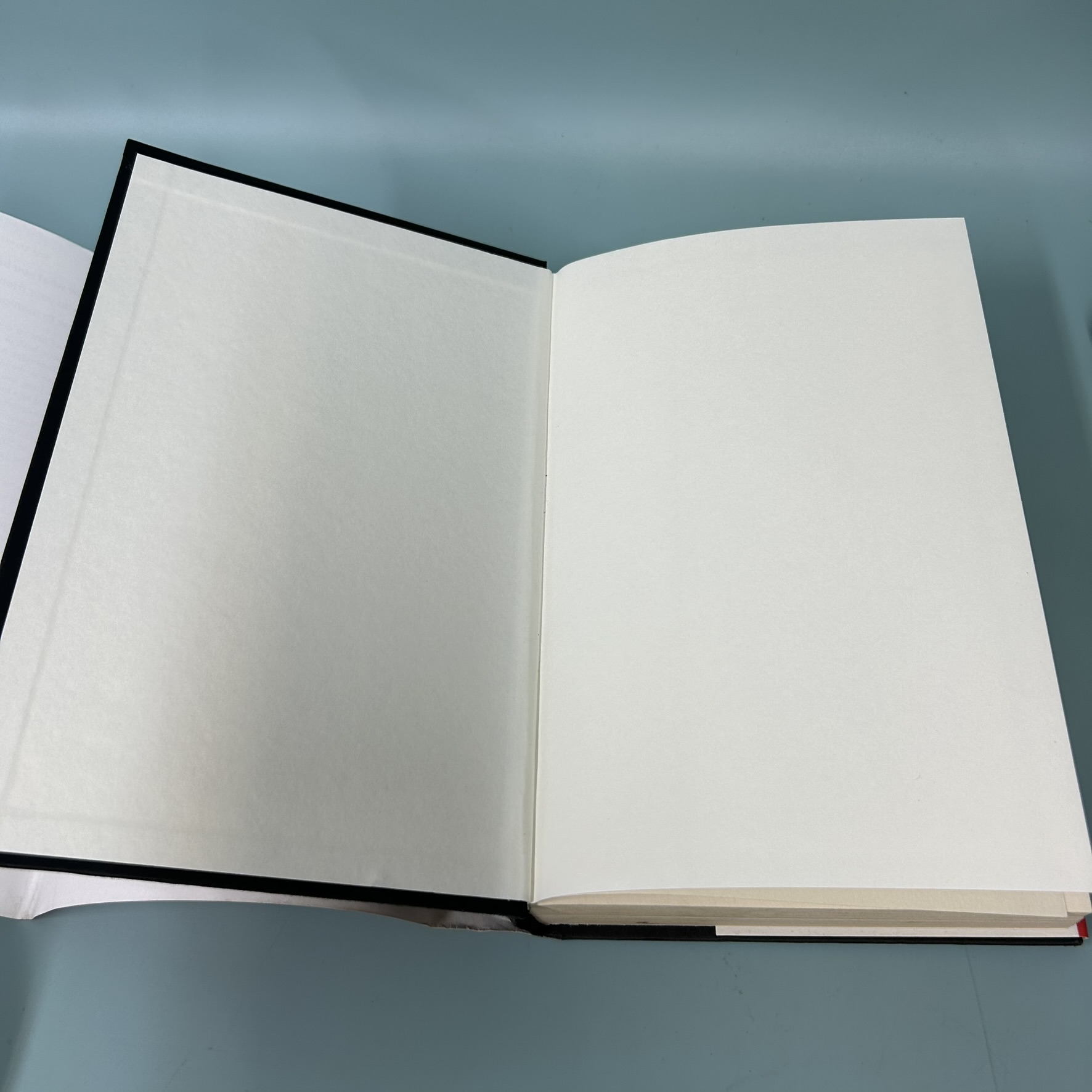 Targeted / Pre-Owned / Brittany Kaiser / บันทึกความทรงจำทางการเมือง, สารคดี