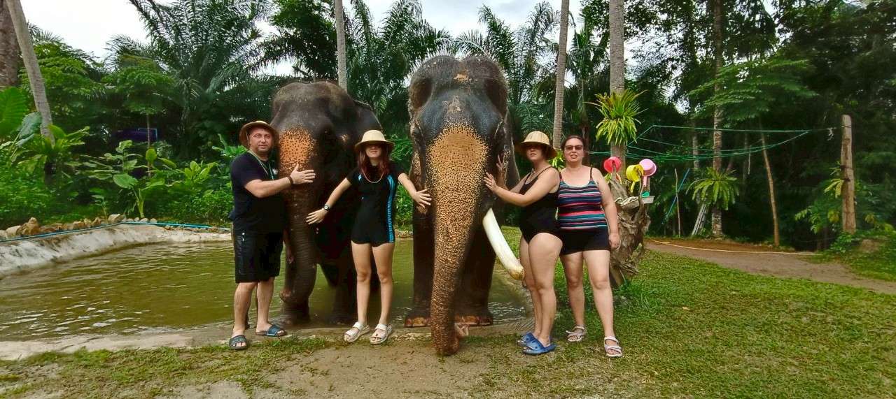 🐘💧 One-Day Jungle Tour with Elephant Bathing (Program 4)