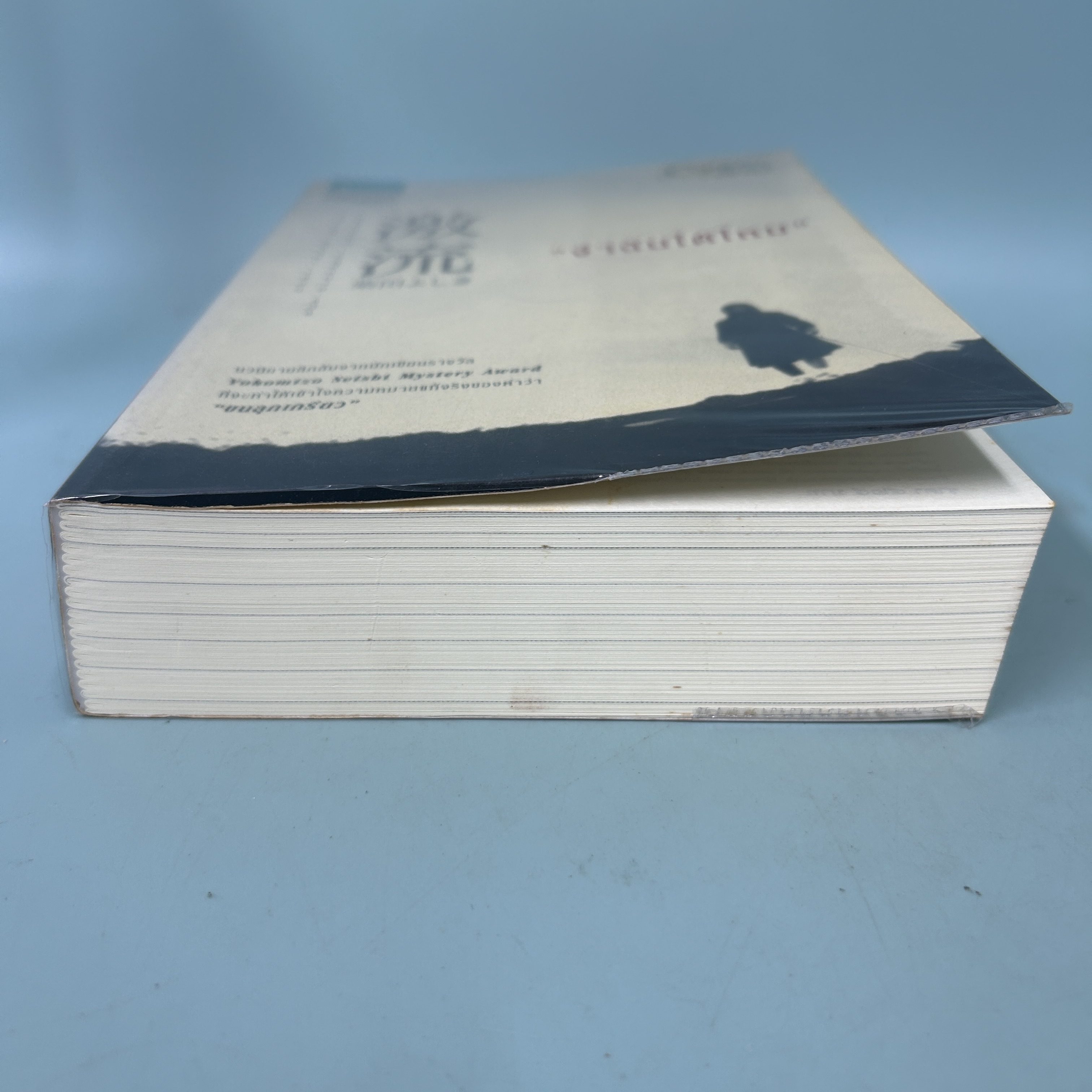 จำฉันได้ไหม / มือสอง / โยะชิกิ ชิบาตะ / แพรวสำนักพิมพ์ / วรรณกรรมแปล แปลญี่ปุ่น