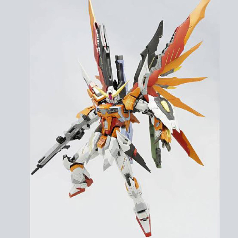 MG 1/100 Gundam Destiny Heine ver MB