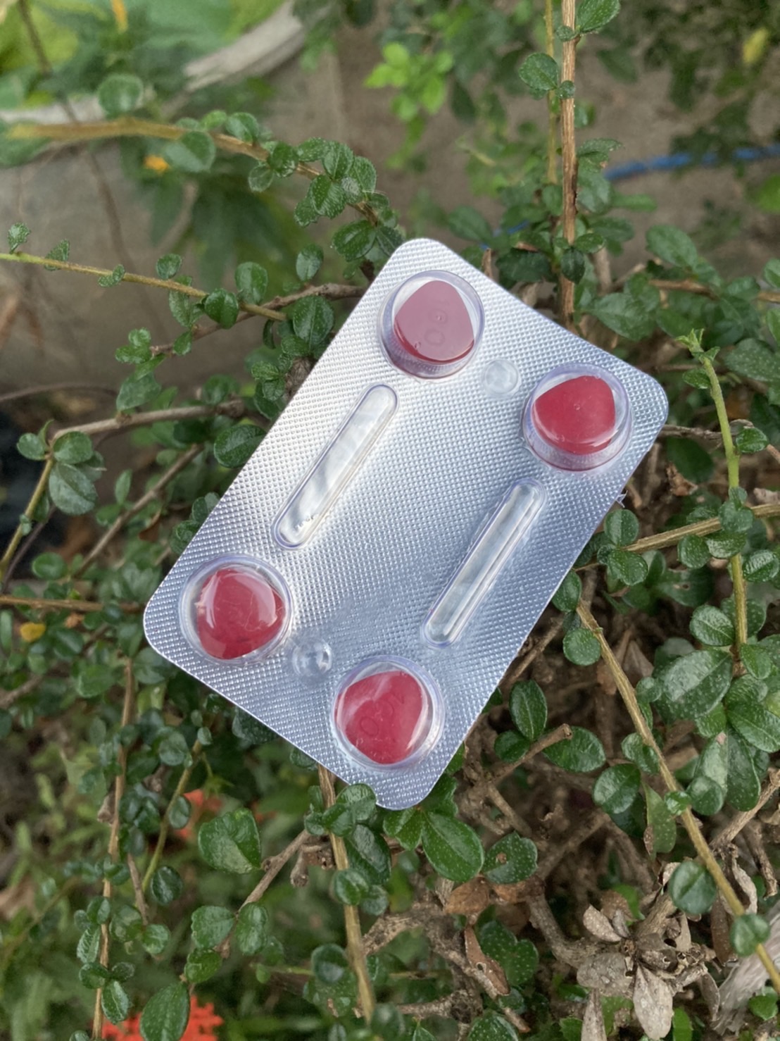 คาเวอร์ต้า (Caverta)