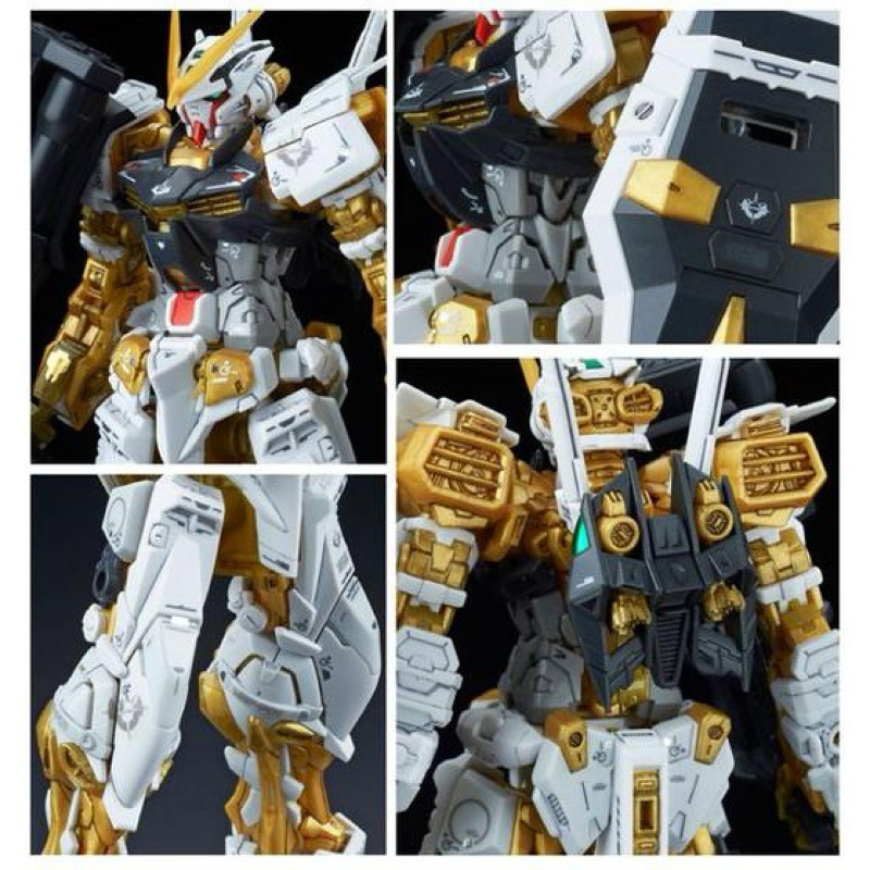 RG P BANDAI Gundam Astray Gold Frame