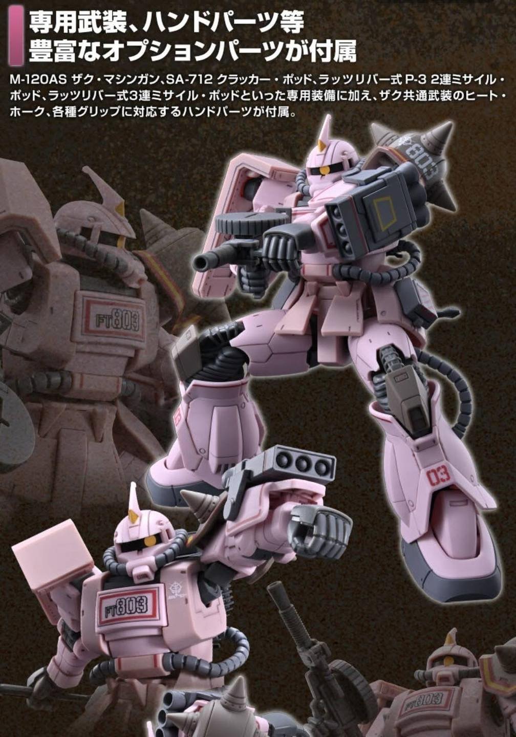 HG PREMIUM BANDAI MS-06D Zaku Desert Type Pink Panther Forces