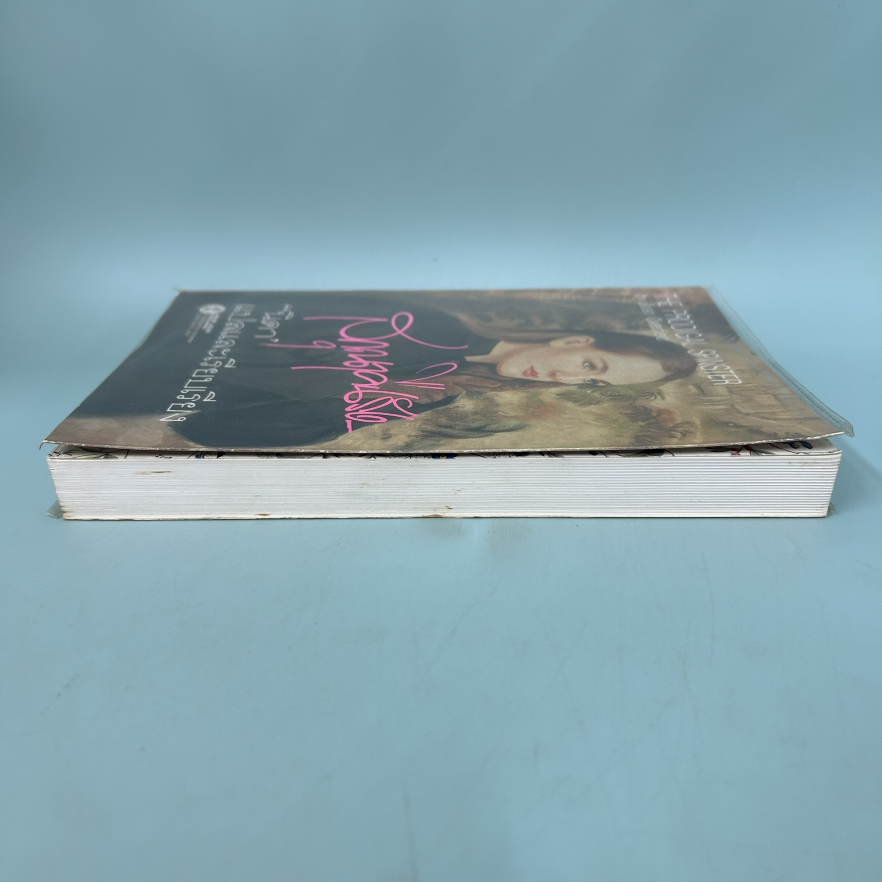 สกุณาคืนรัง / มือสอง / Joan Overfield / สำนักพิมพ์หมึกจีน / นิยายแปล นิยายโรแมนติก