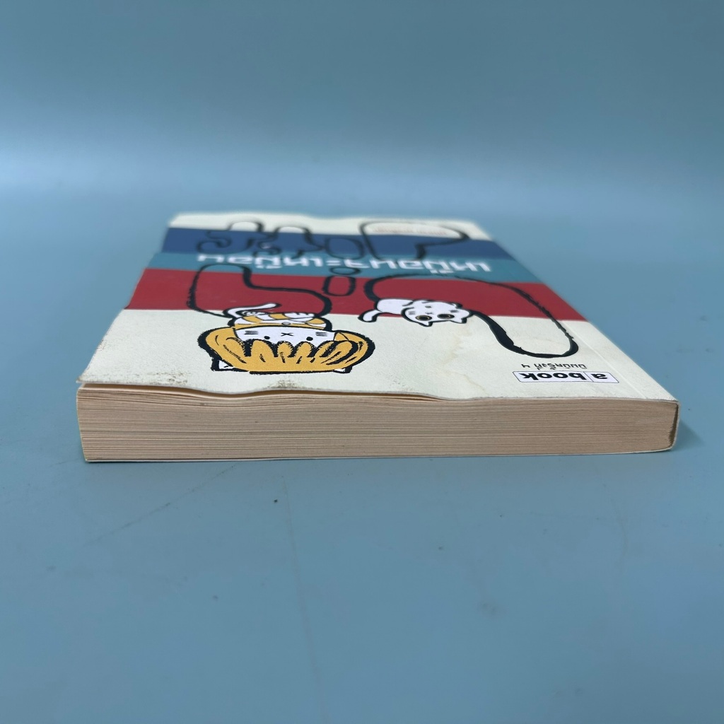 เหมือนจะเหมือน Big Diff / มือสอง / ภูมิชาย บุญสินสุข / ภาษา abook