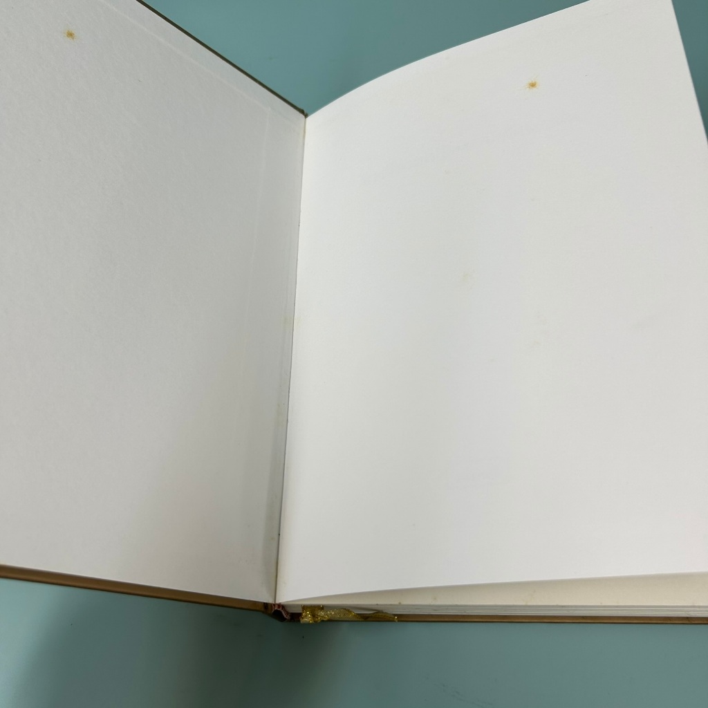 บารมีพระแม่ป้อง ปกพื้นธรณิน (ปกแข็ง) โดย แก้วเก้า / มือสอง นิยาย วรรณกรรม