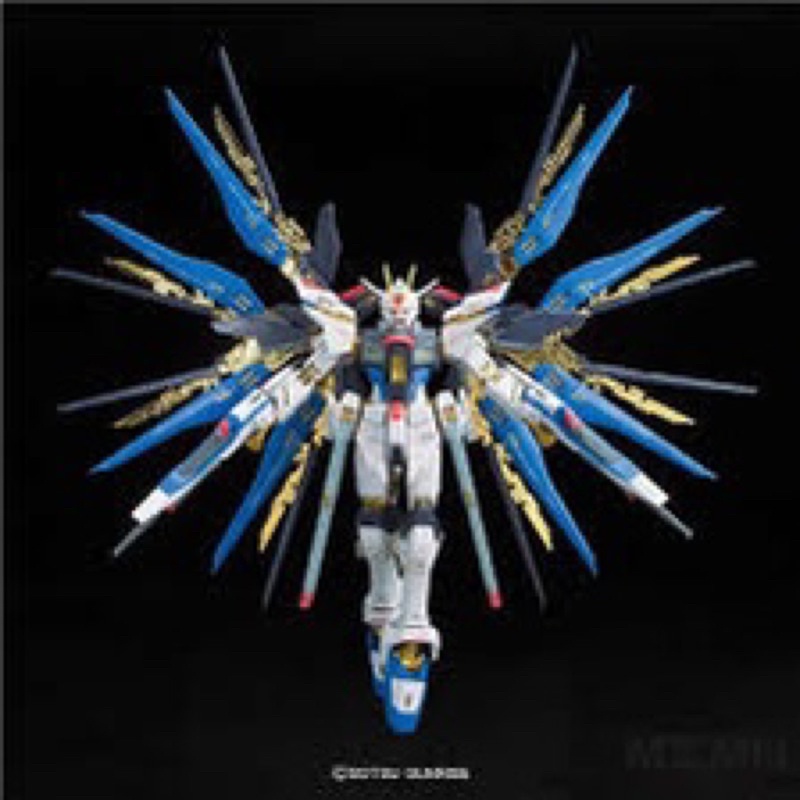 MG BANDAI Gundam Strike Freedom Full Burst Mode