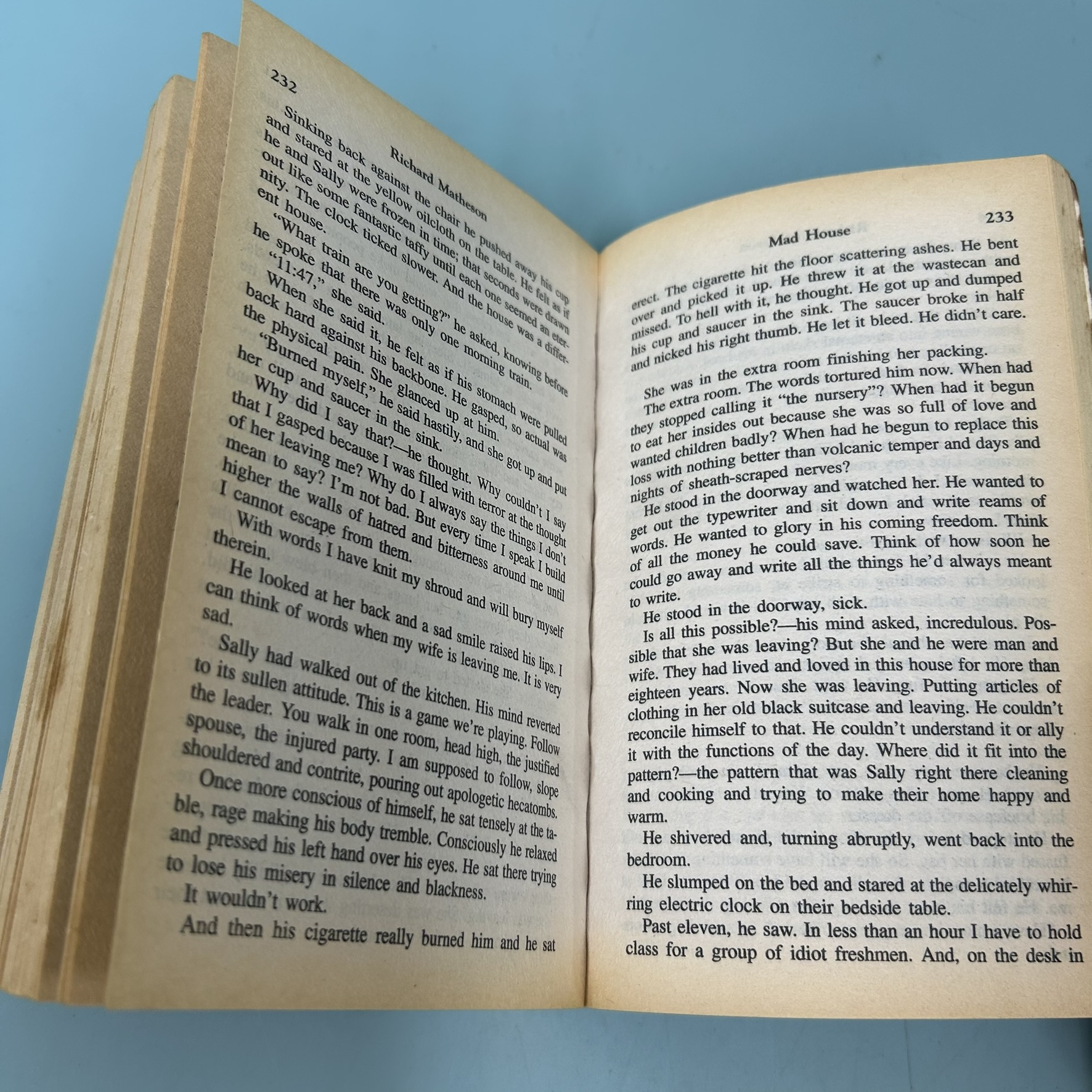 I Am Legend / Pre-Owned / Richard Matheson / Fiction Novel English