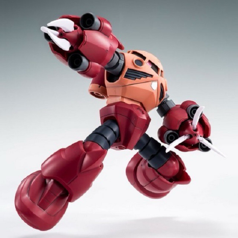HG PREMIUM BANDAI Amazing Z’gok