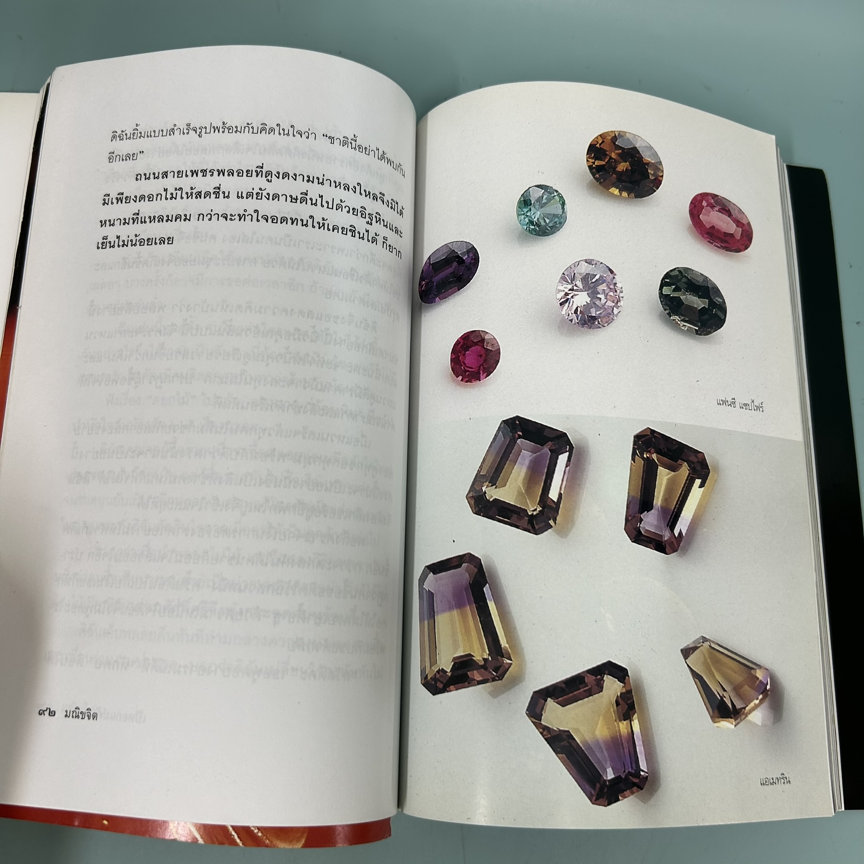 เปิดอกแม่ค้าพลอย / มือสอง / มณิขจิต / สำนักพิมพ์ มติชน / บทความ ธุรกิจ