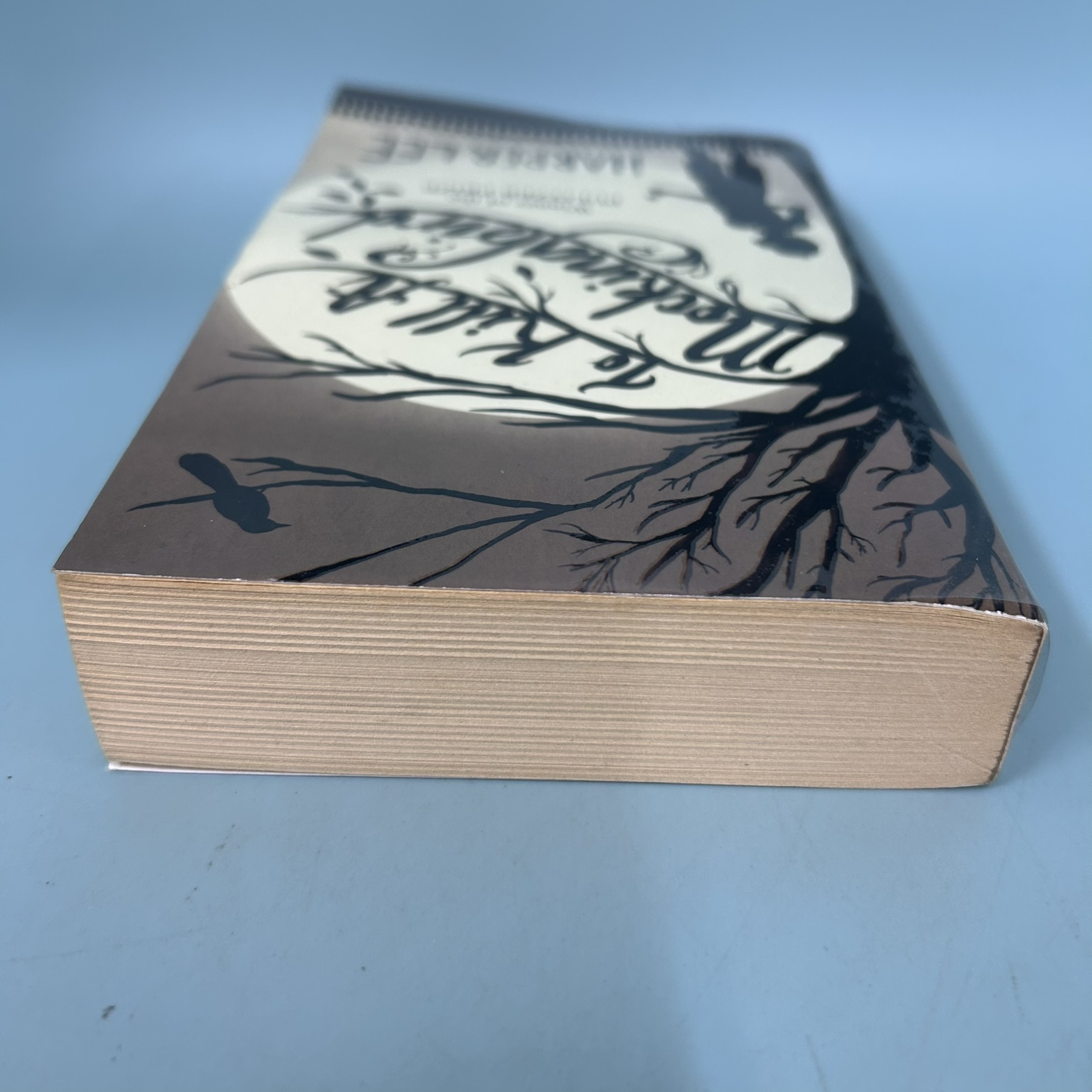 To Kill a Mockingbird / Pre-Owned / Harper Lee / J.B. Lippincott & Co. / Fiction English Book