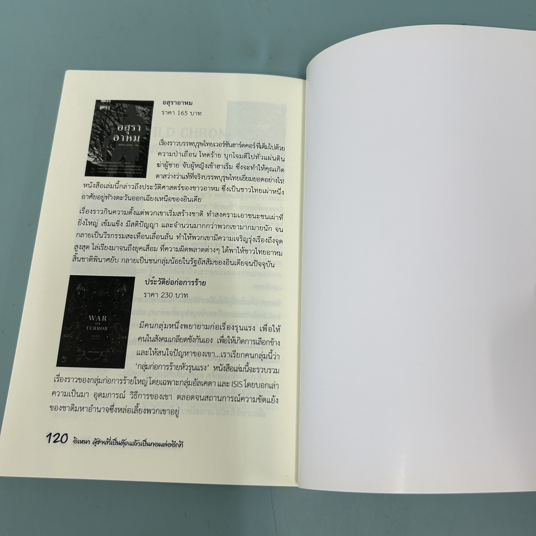 อิเหนา ผู้ชายที่เป็นตุ๊ดแล้วเป็นทอมต่ออีกที / มือสอง / พงศ์ศรณ์ ภูมิวัฒน์ / Post books / วรรณกรรม