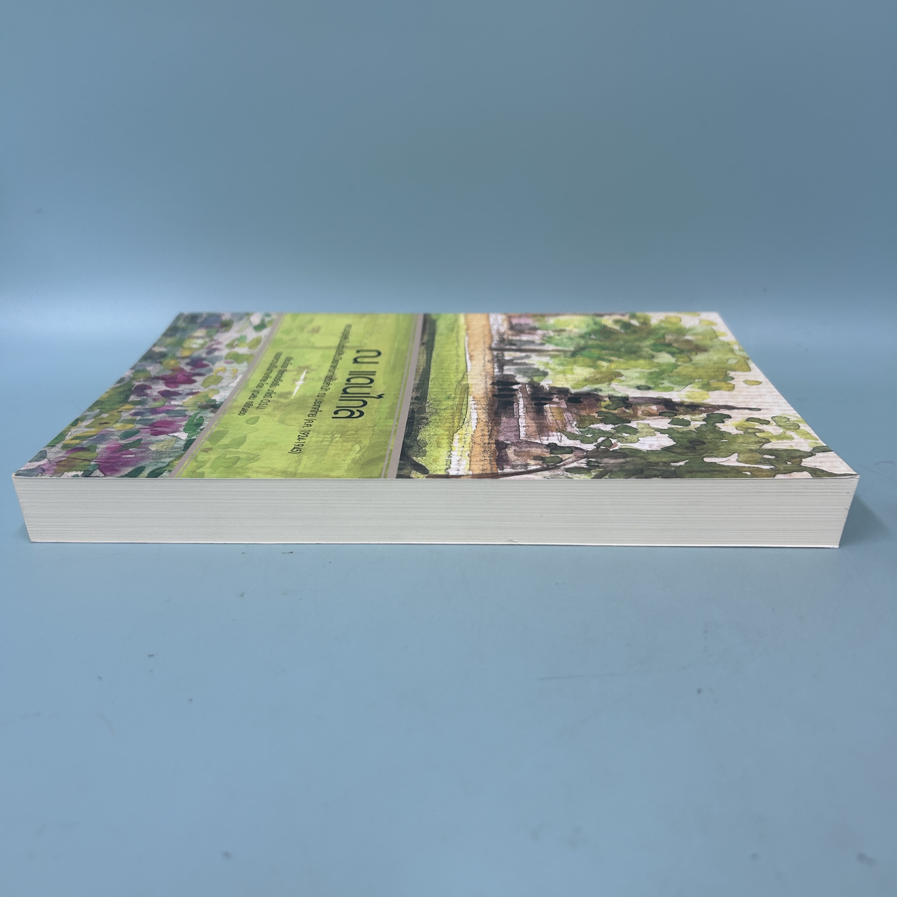 ณ แดนไกล / มือสอง / ซิสเตอร์ไอรีน มาโฮนี / คณะอุร์สุลิน / ประวัติศาสตร์