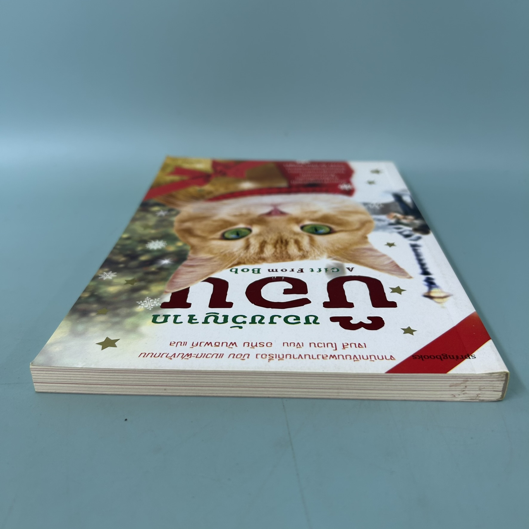 ของขวัญจากบ๊อบ / มือสอง / เจมส์ โนเวน / springbooks / นิยายแปล