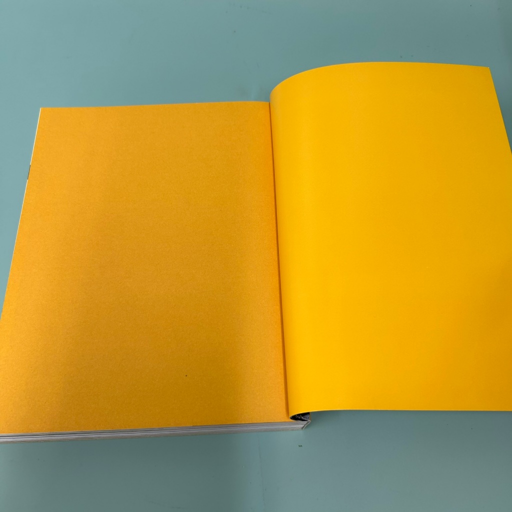 แคร์ เช่น มิตร with กาละแมร์ Care Chen Mitr / มือสอง / พัชรศรี เบญจมาศ / เคล็ดไทย