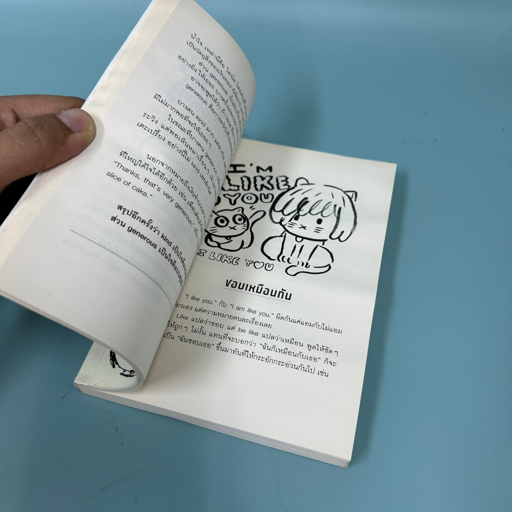 เหมือนจะเหมือน Big Diff / มือสอง / ภูมิชาย บุญสินสุข / ภาษา abook