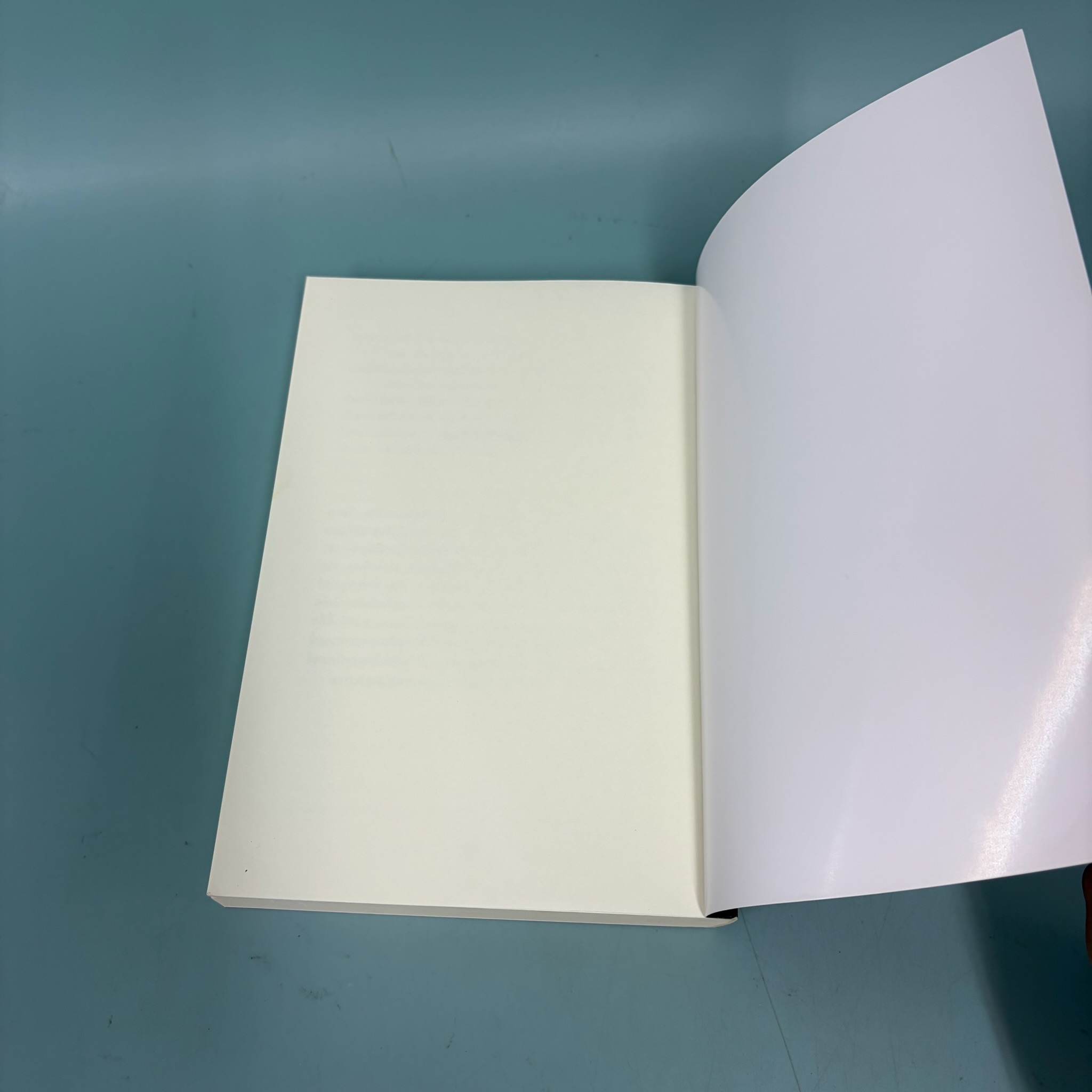 THE BOY ON THE BRIDGE เดอะ บอย ออน เดอะ บริดจ์ / มือสอง / เอ็ม.อาร์ แครีย์ / เอิร์นเนส พับลิชชิ่ง / นิยาย แฟนตาซี