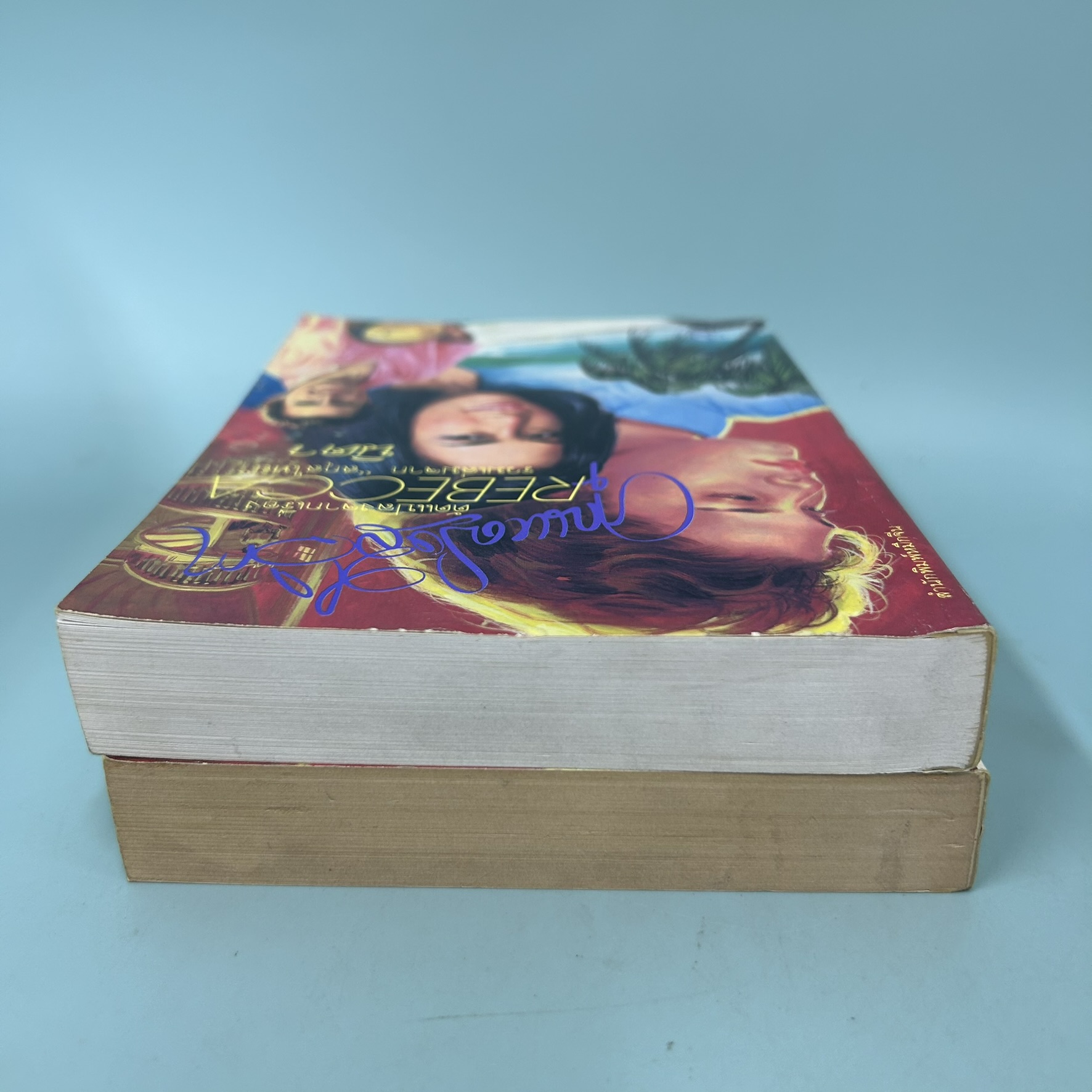 ชุด คุณหญิงสีวิกา เล่ม 1-2 จบ / มือสอง / นิดา / สำนักพิมพ์ หมึกจีน / วรรณกรรม