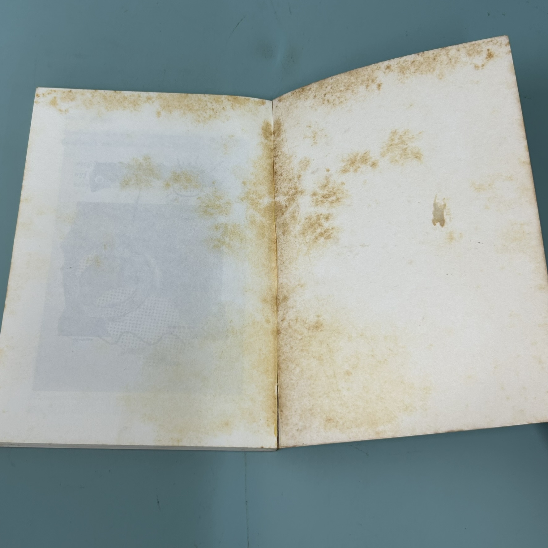 รอวันนั้น / มือสอง / จูดี้ บลูม / สำนักพิมพ์กันยา / วรรณกรรมเยาวชน