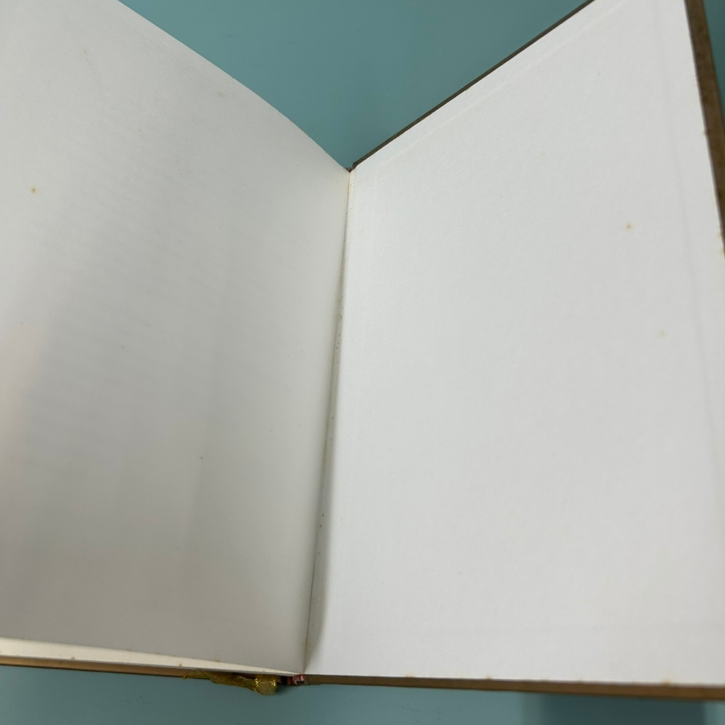 บารมีพระแม่ป้อง ปกพื้นธรณิน (ปกแข็ง) โดย แก้วเก้า / มือสอง นิยาย วรรณกรรม