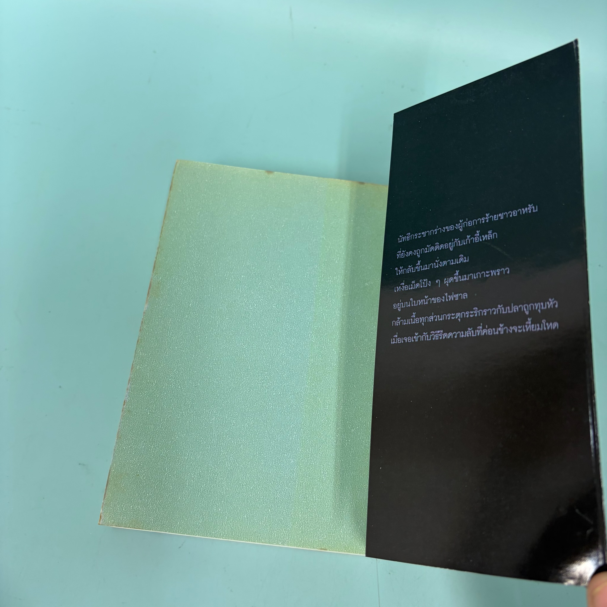 อินทรีปีศาจ /อัคนิรุทธ์/ มือสอง / ดอกหญ้า / นิยายสืบสวนสอบสวน