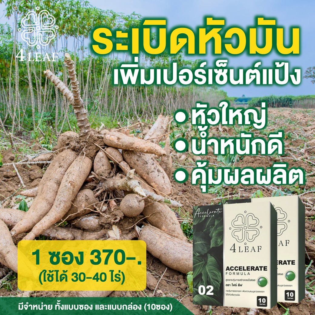 4 LAEF โฟร์ลีฟ อาหารเสริมพิช ปุ๋ยเร่งผลผลิต ปุ๋ยชีวภาพ ปุ๋ยเร่งโต กรดฮิวมิก ปุ๋ยอินทรีย์ ปุ๋ยพืช ปุ๋ยผัก ปุ๋ยผลไม้ ปุ๋ยไม้ดอก ฟื้นฟูพืช ปุ๋ยคุณภาพ ปุ๋ยราคาดี ปุ๋ยส่งฟรี