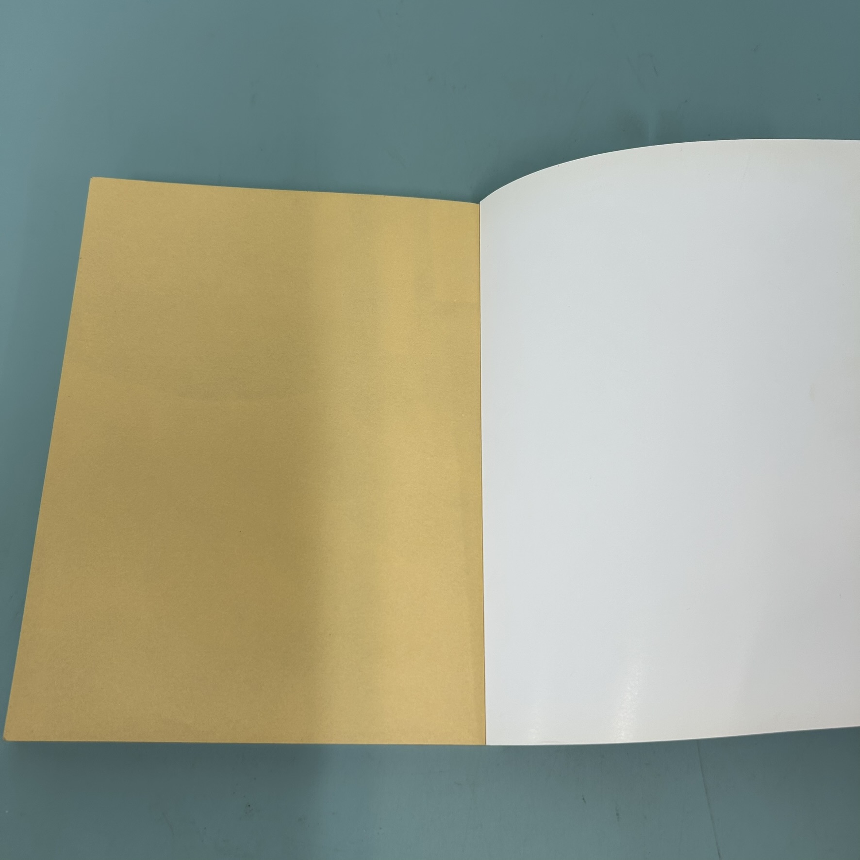 Indy Coffee Barista / มือสอง / อาจาร์ยปอ , โจ สุขพัฒน์ , กิจจา วงศ์วารี / สำนักพิมพ์บีวาว / หนังสืองานอดิเรก