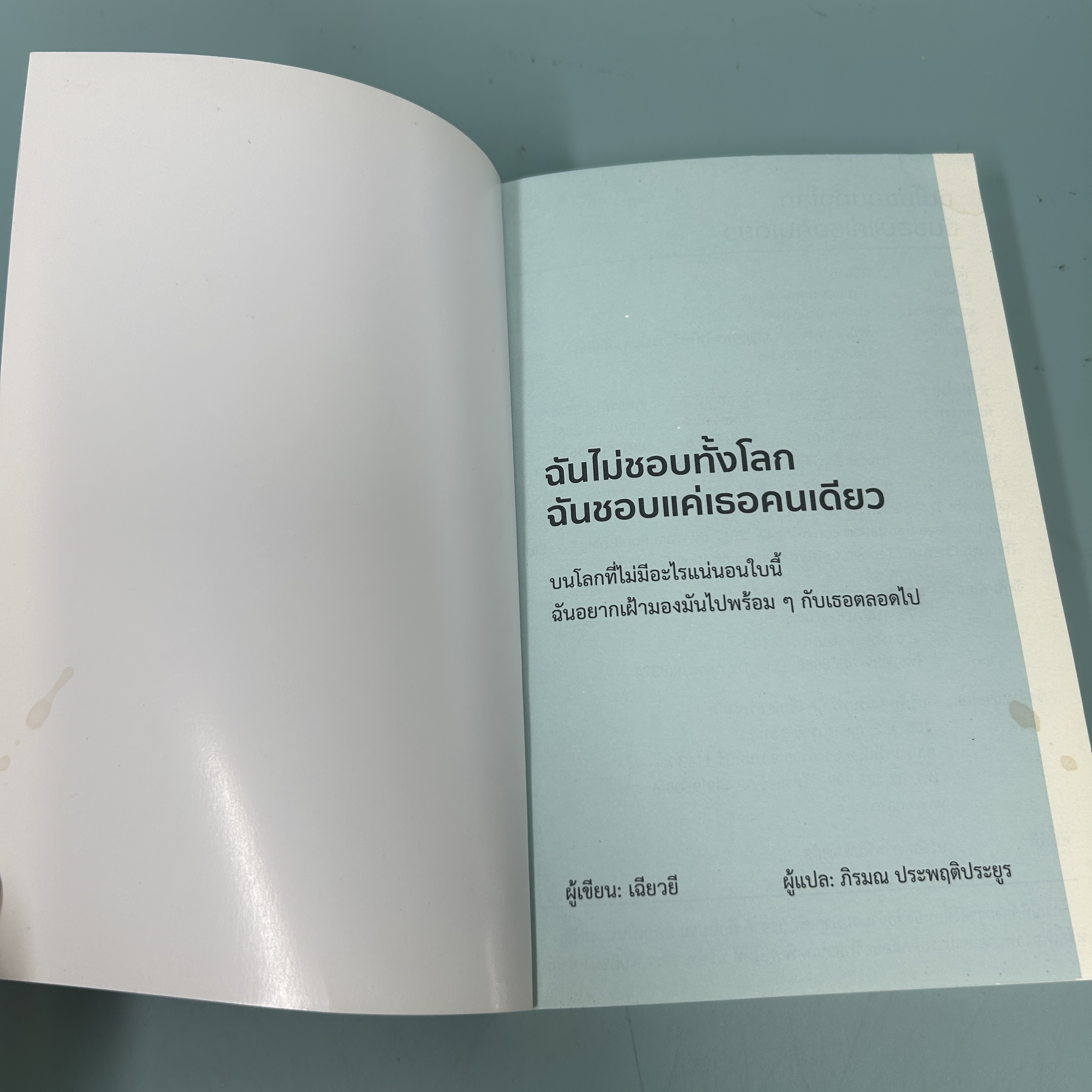 ฉันไม่ชอบทั้งโลก ฉันชอบแค่เธอคนเดียว ฉบับนิยาย ... เฉียวยี (มือสอง) นิยายแปล นิยายจีนแปล