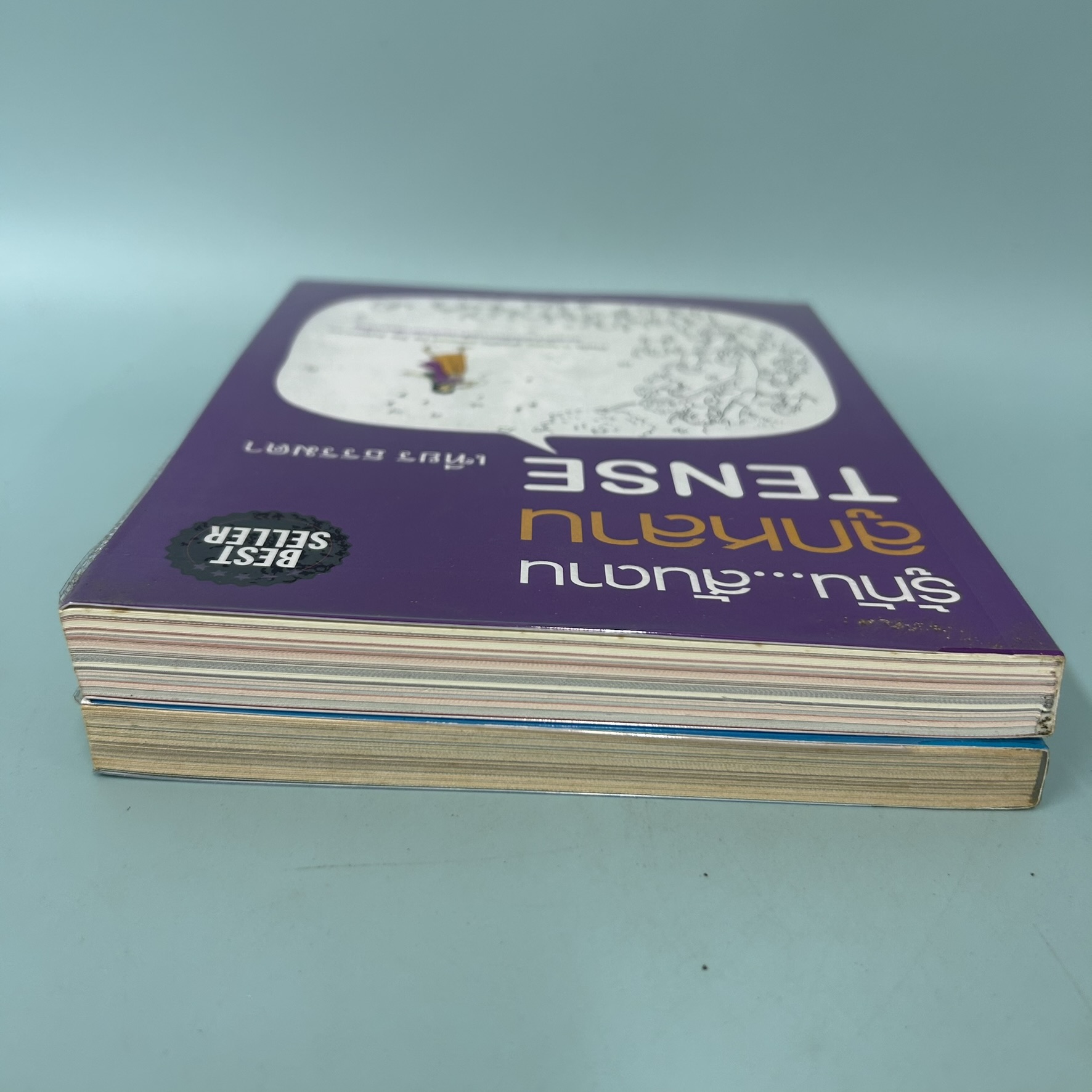 รู้ทัน...สันดาน ลูกหลาน TENSE เล่ม 1-2 / มือสอง / เฑียร ธรรมดา /ลีลาภาษา / เรียนรู้ภาษาต่างประเทศ (ได้ 2 เล่ม)