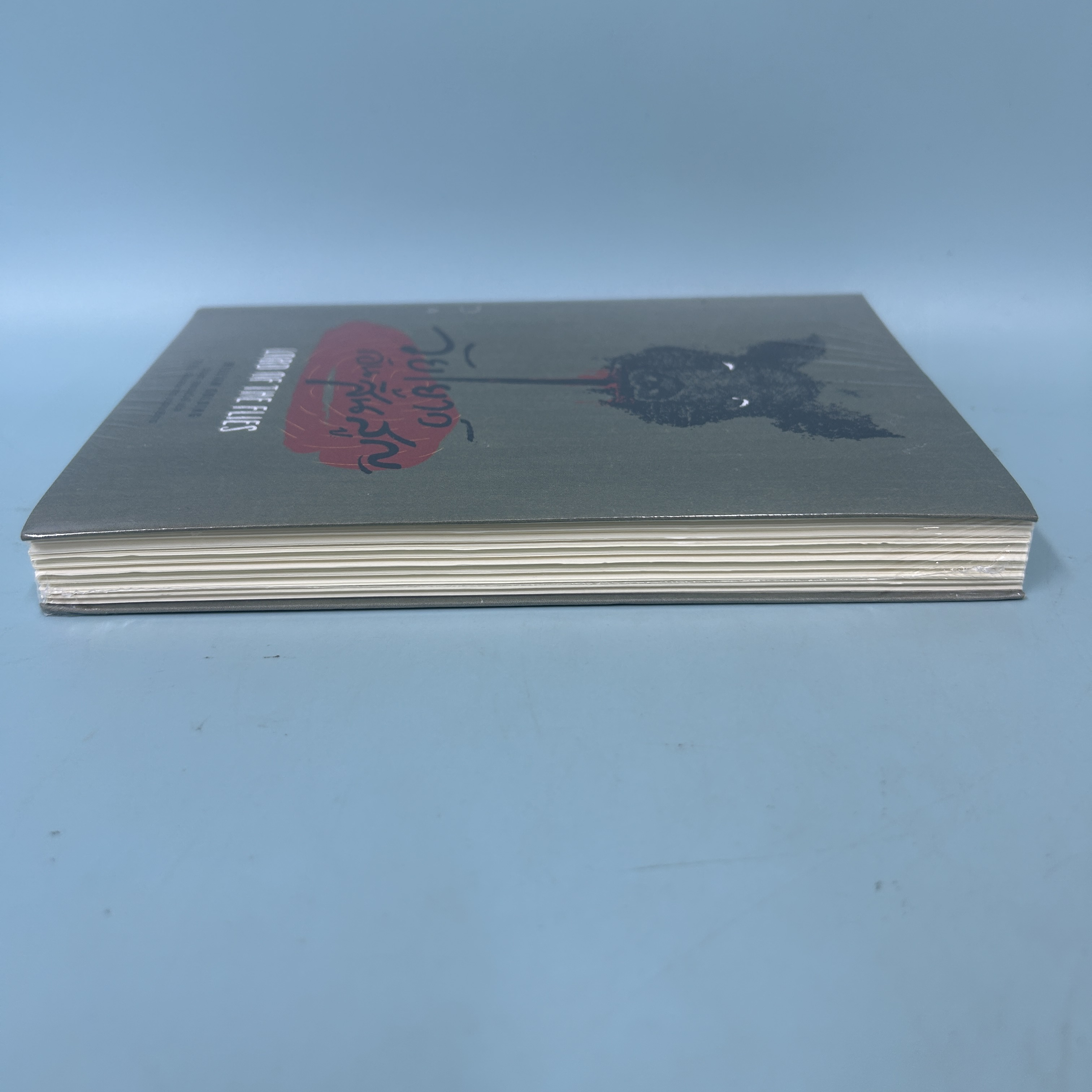 วัยเยาว์อันสิ้นสูญ LORD OF THE FLIES / มือหนึ่ง / วิลเลียม โกลดิ้ง /ไลต์เฮาส์พับลิชชิ่ง / วรรณกรรมแปล