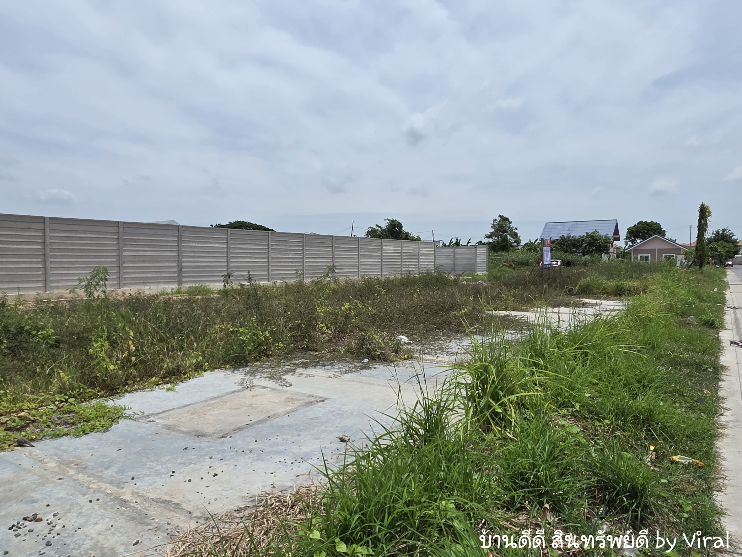 ขายที่ดิน ถนนหน้าเทศบาล อำเภอบางใหญ่ จังหวัดนนทบุรี ที่ถมแล้ว เนื้อที่ 3 งาน 17.4 ตารางวา (317.4 ตารางวา)