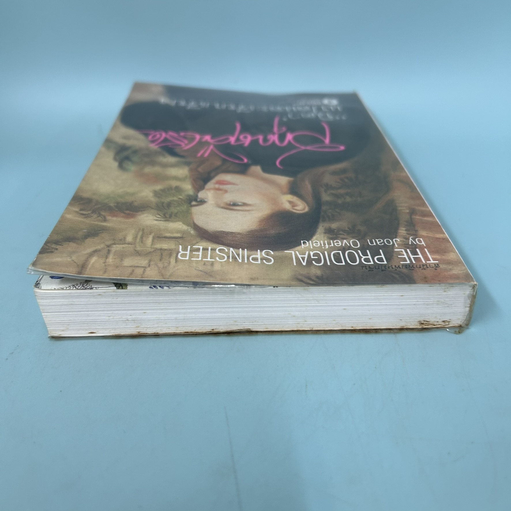 สกุณาคืนรัง / มือสอง / Joan Overfield / สำนักพิมพ์หมึกจีน / นิยายแปล นิยายโรแมนติก