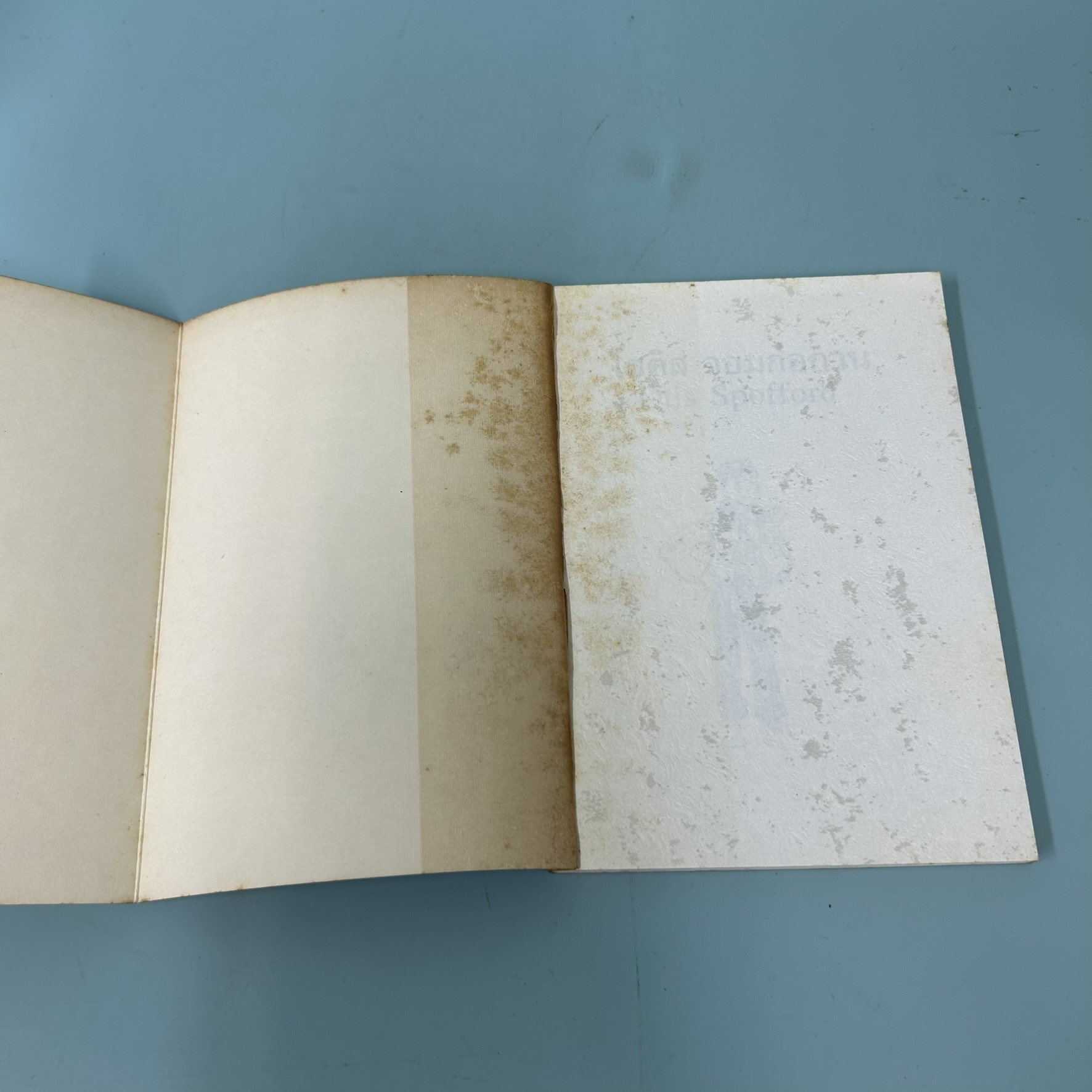 โอติส จอมก่อกวน / มือสอง / บีเวอร์ลี เคลียรี / สำนักพิมพ์ ดอกหญ้า / วรรณกรรมเยาวชน