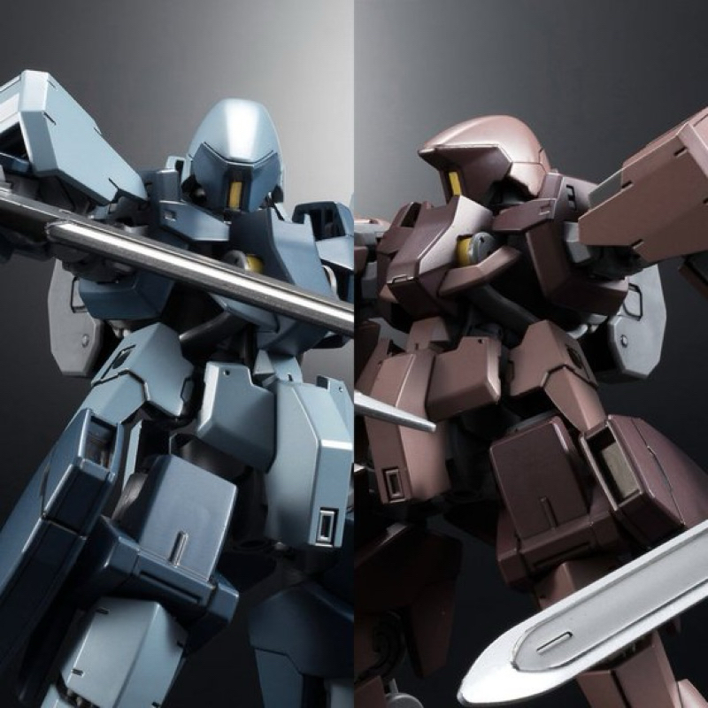 HG PREMIUM BANDAI GRAZE GROUND TYPE TWIN SET