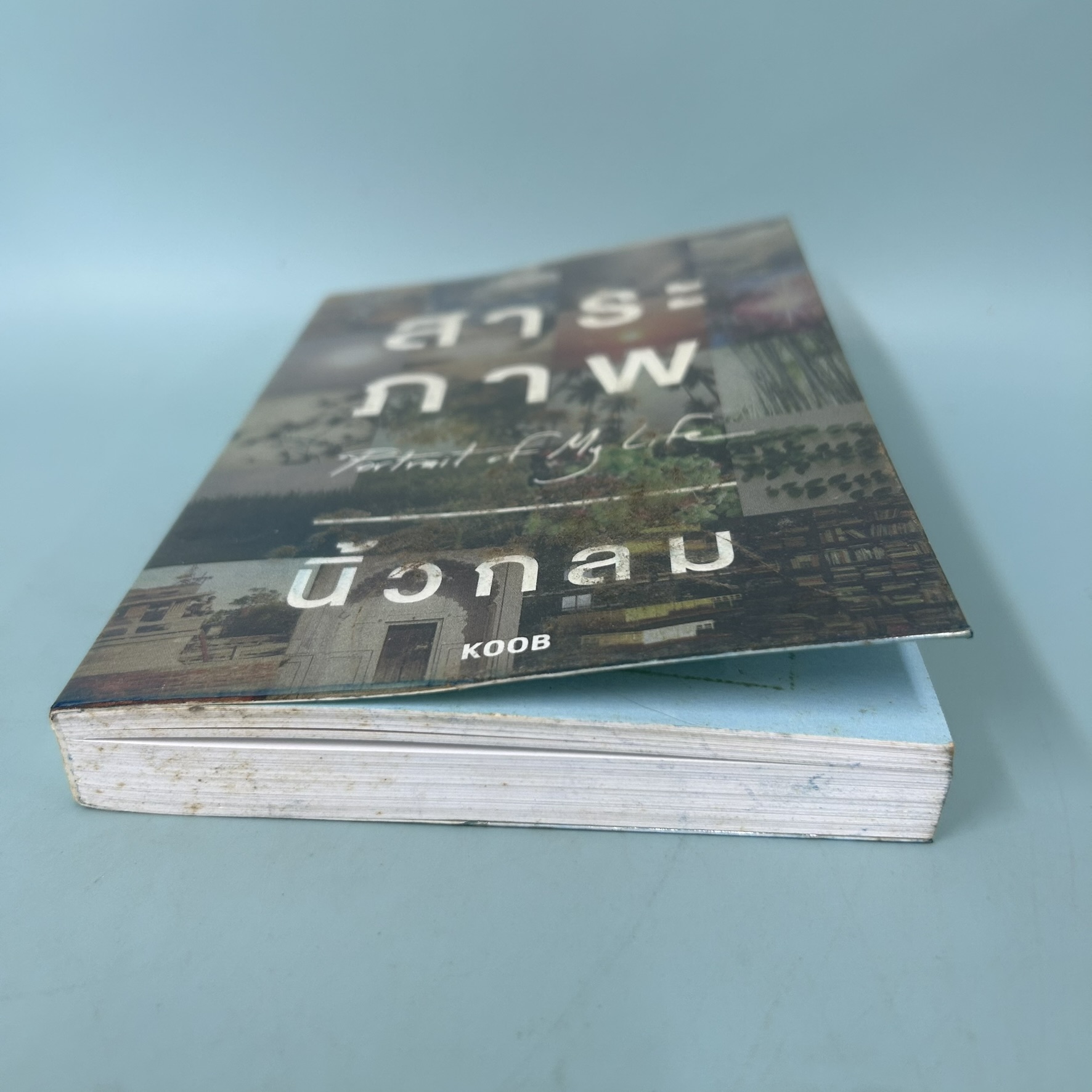 สาระภาพ Portrait of My Life / มือสอง / นิ้วกลม / สำนักพิมพ์ koob / รวมเรื่องสั้นเกี่ยวกับภาพถ่าย