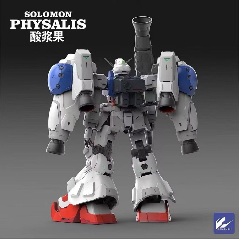 Solomon Model : MG 1/100 Physalis