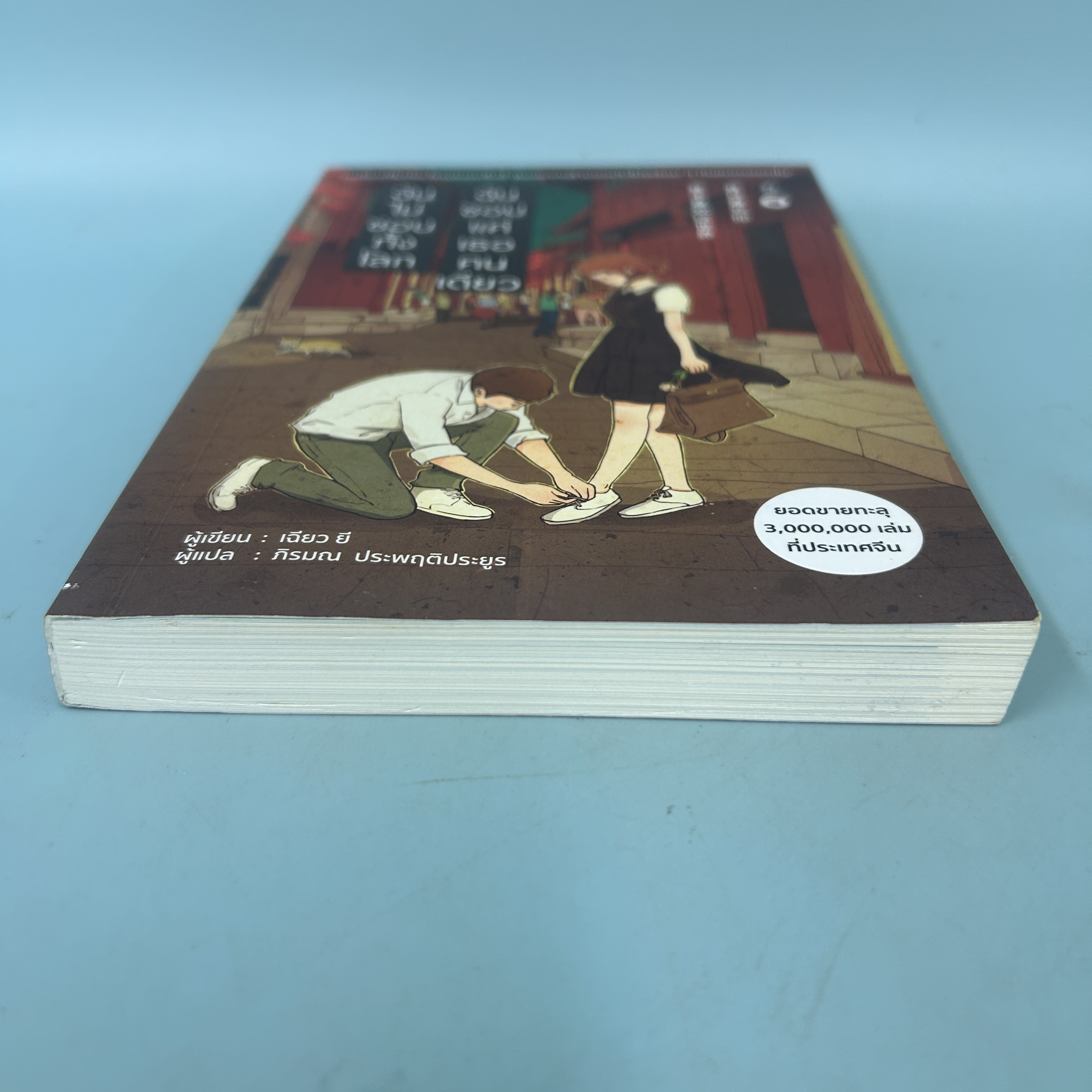 ฉันไม่ชอบทั้งโลก ฉันชอบแค่เธอคนเดียว ฉบับนิยาย ... เฉียวยี (มือสอง) นิยายแปล นิยายจีนแปล