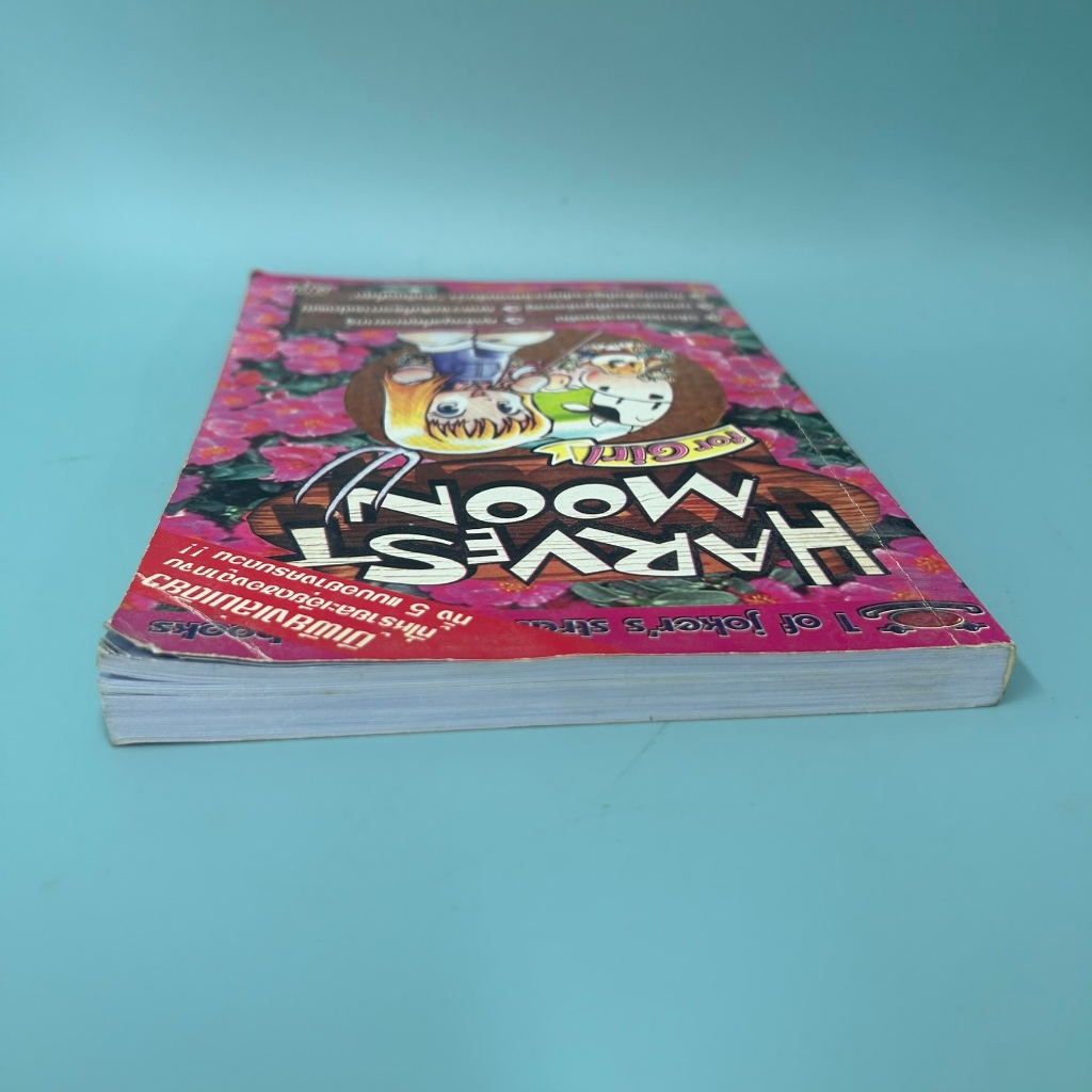 บทสรุปเกมส์ Harvest Moon for Girl PS1 (มือสอง)