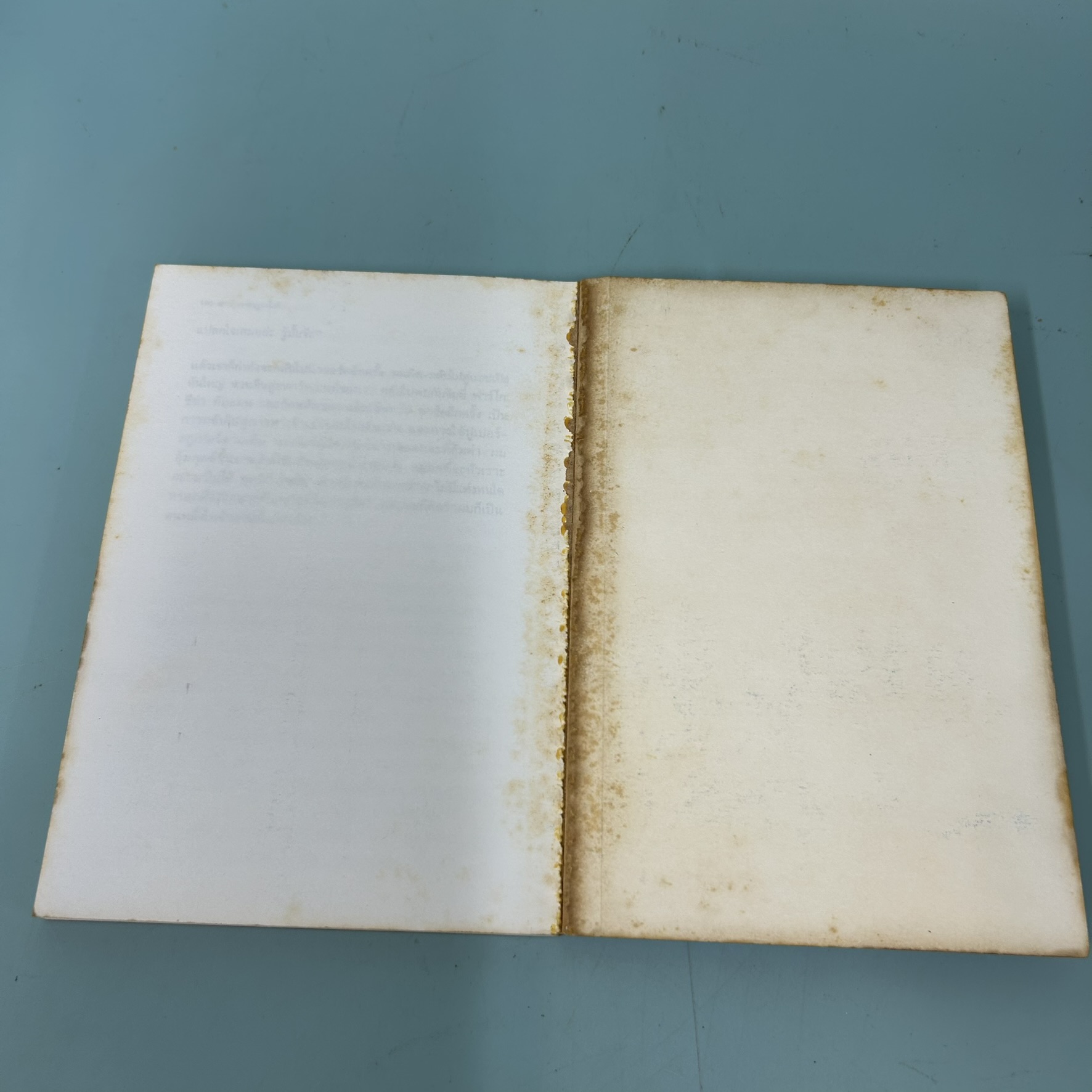 น้องเล็กยังร้ายอยู่ / มือสอง / จูดี้ บลูม / สำนักพิมพ์บานชื่น / วรรณกรรมเยาวชน