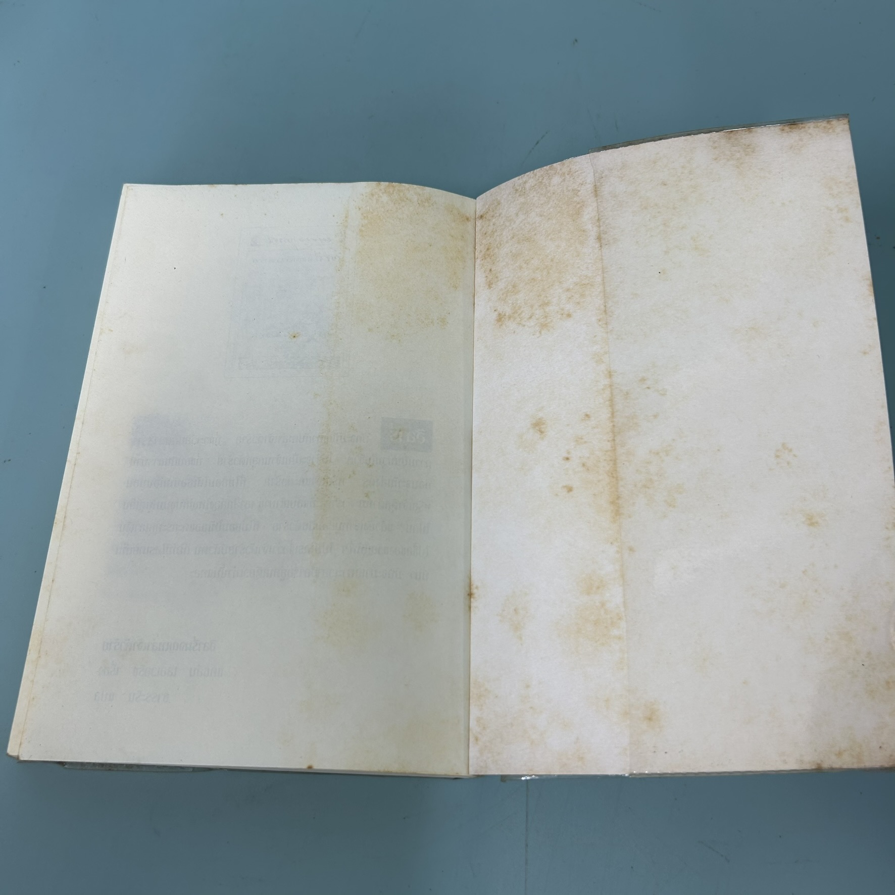 บรัดเล่ย์ เด็กเกเรหลังห้องเรียน / หลุยส์ ซัคเกอร์ / มือสอง / อมรินทร์ / วรรณกรรมแปล