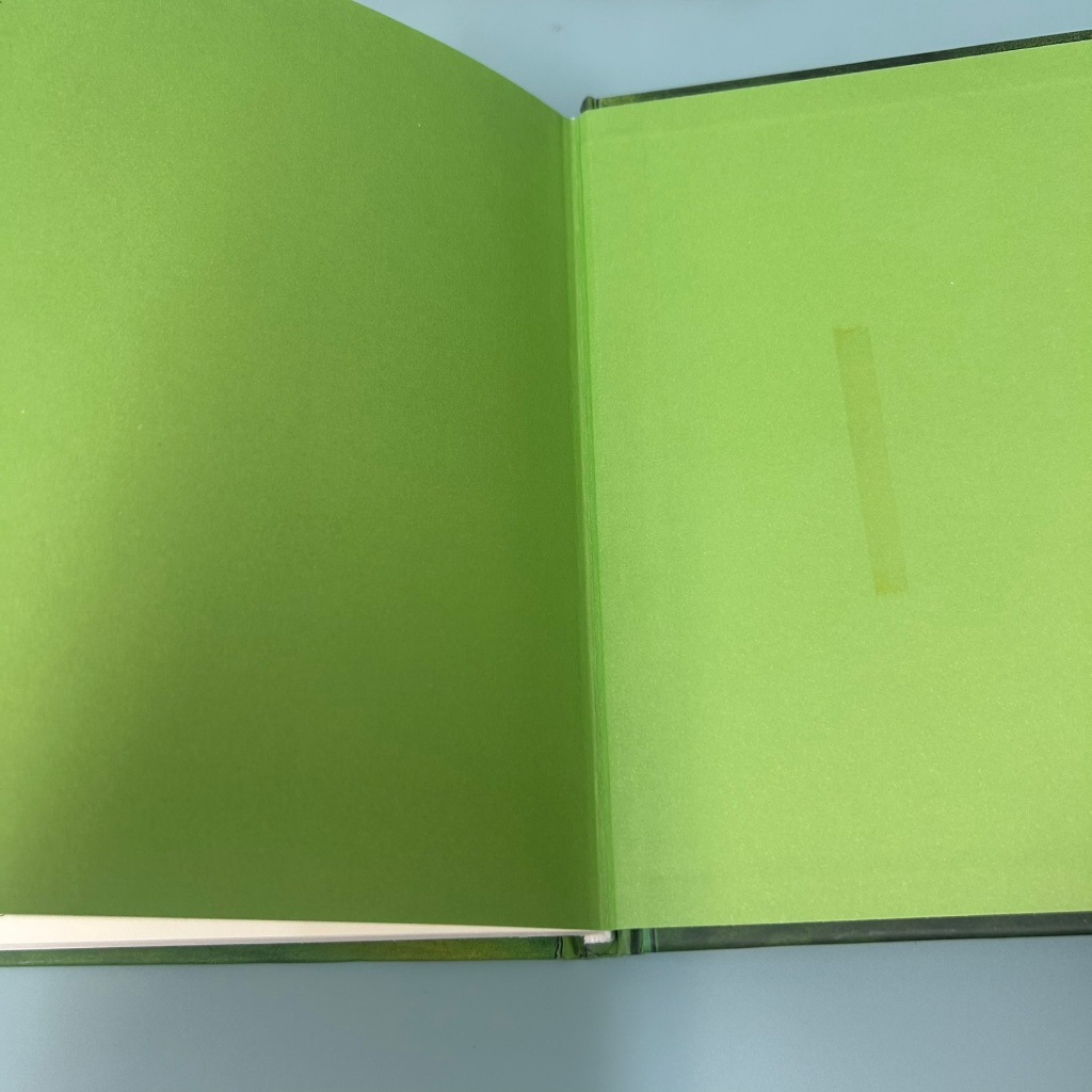 ไดอารี่ของ เด็กไม่เอาถ่าน ตอน เสียทีร็อดดริก และ ตอน ฟางเส้นสุดท้าย (มือสอง) วรรณกรรมเยาวชน