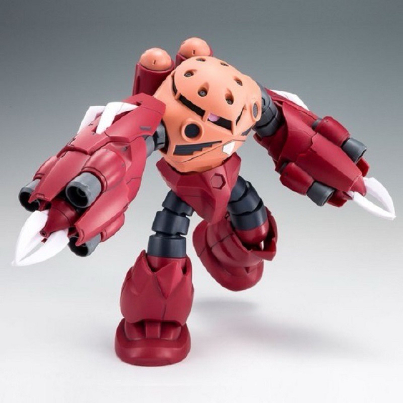 HG PREMIUM BANDAI Amazing Z’gok