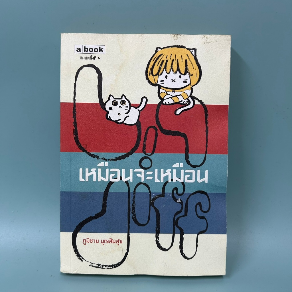 เหมือนจะเหมือน Big Diff / มือสอง / ภูมิชาย บุญสินสุข / ภาษา abook
