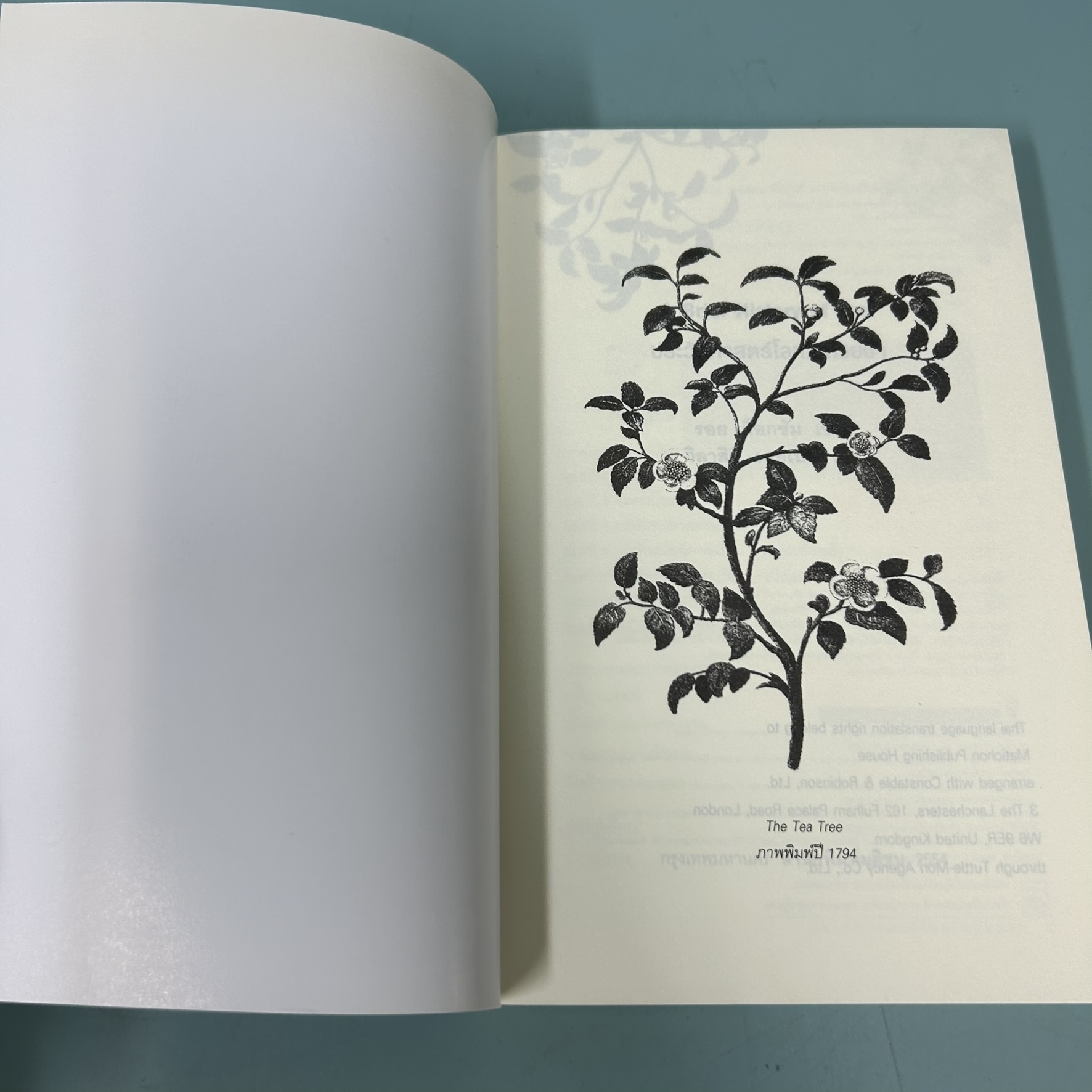 ประวัติศาสตร์โลกในถ้วยชา / มือสอง / Roy Moxham / สำนักพิมพ์มติชน / วรรณกรรมแปล