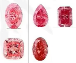 เพชรสีแดงแท้เพาะเลี้ยงธรรมชาติ : สั่งผลิตตามโทนสีความเข้ม กะรัตและทรงที่ต้องการ